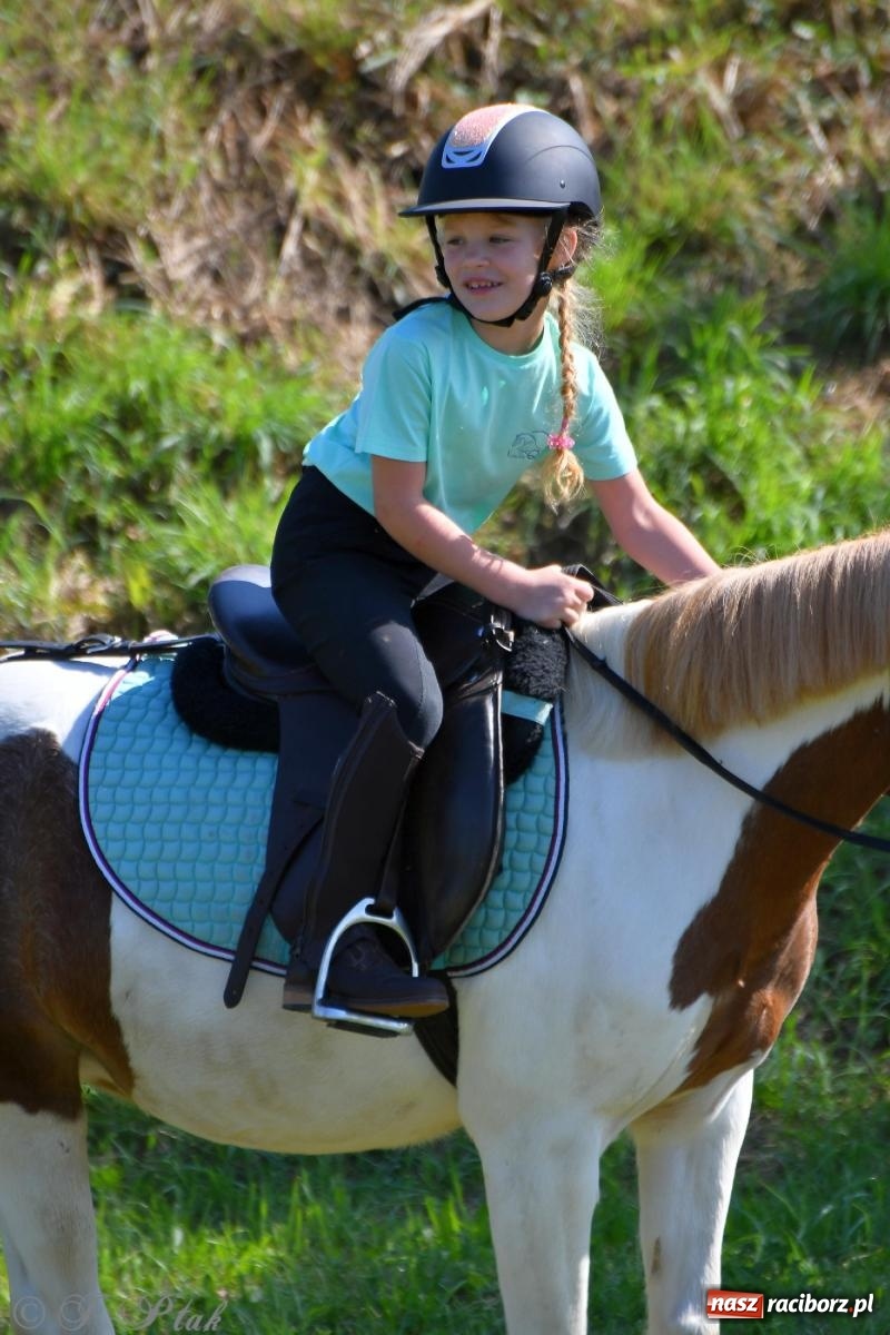 Zdjęcie w galerii na portalu naszraciborz.pl: Raciborski Hubertus. Parada konna przez miasto [FOTO i WIDEO] wiadomości z regionu