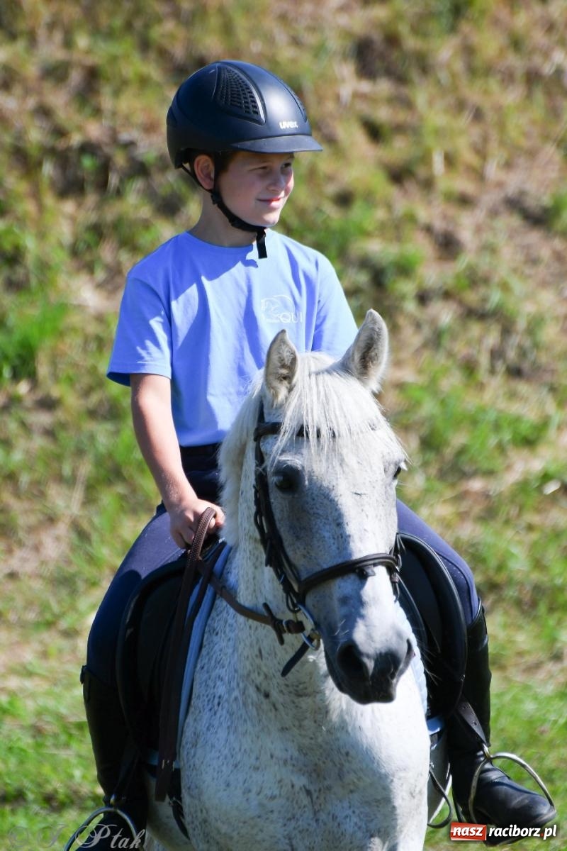 Zdjęcie w galerii na portalu naszraciborz.pl: Raciborski Hubertus. Parada konna przez miasto [FOTO i WIDEO] wiadomości z regionu