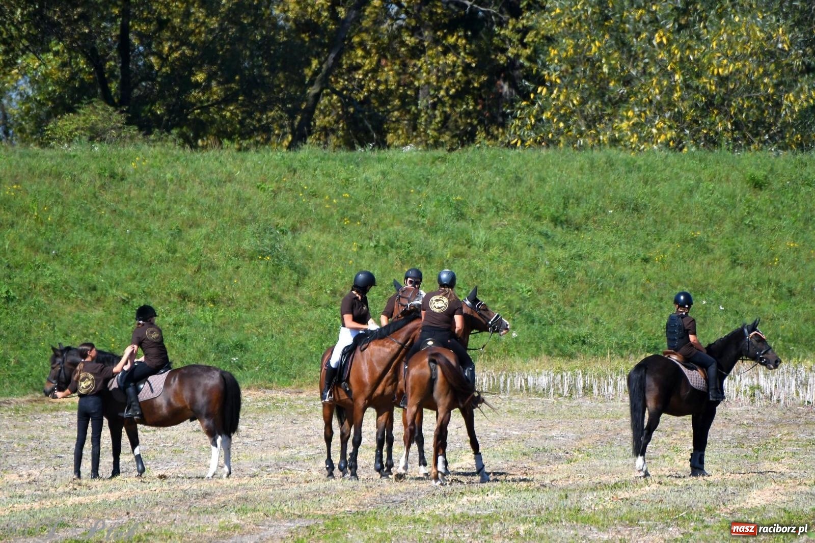 Zdjęcie w galerii na portalu naszraciborz.pl: Raciborski Hubertus. Parada konna przez miasto [FOTO i WIDEO] wiadomości z regionu