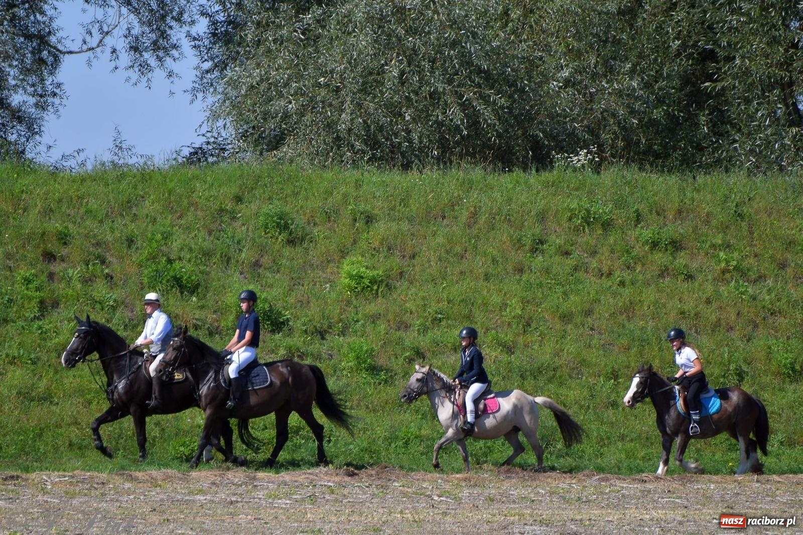 Zdjęcie w galerii na portalu naszraciborz.pl: Raciborski Hubertus. Parada konna przez miasto [FOTO i WIDEO] wiadomości z regionu