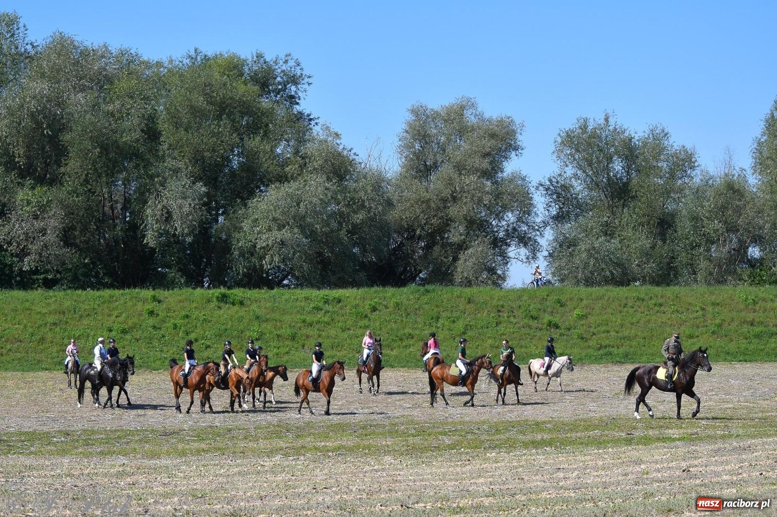 Zdjęcie w galerii na portalu naszraciborz.pl: Raciborski Hubertus. Parada konna przez miasto [FOTO i WIDEO] wiadomości z regionu