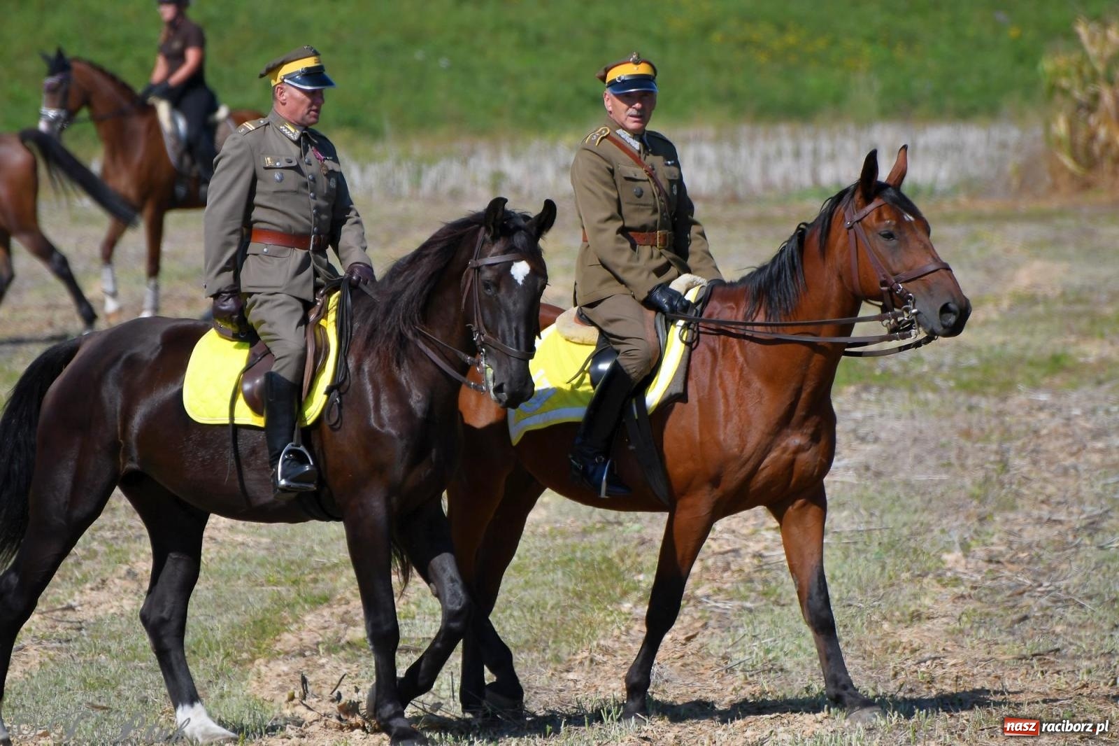 Zdjęcie w galerii na portalu naszraciborz.pl: Raciborski Hubertus. Parada konna przez miasto [FOTO i WIDEO] wiadomości z regionu