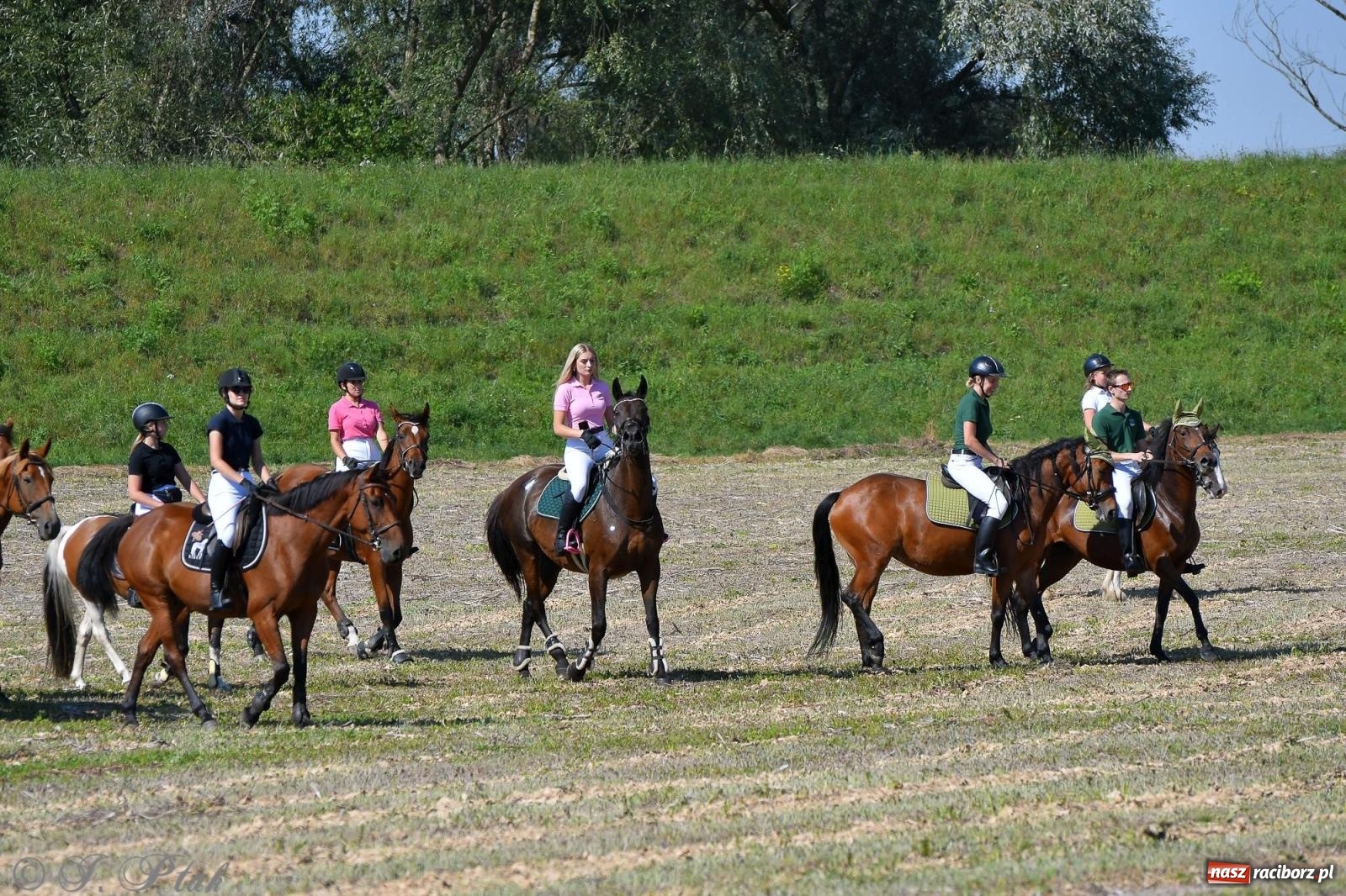 Zdjęcie w galerii na portalu naszraciborz.pl: Raciborski Hubertus. Parada konna przez miasto [FOTO i WIDEO] wiadomości z regionu
