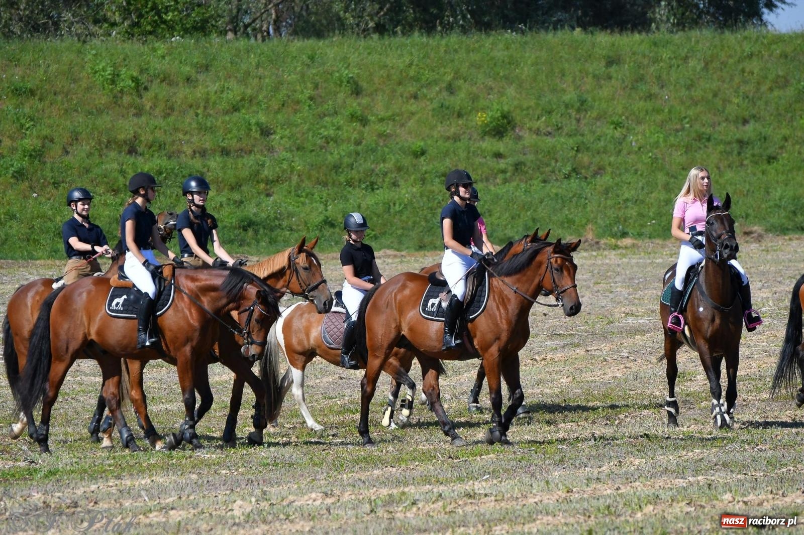 Zdjęcie w galerii na portalu naszraciborz.pl: Raciborski Hubertus. Parada konna przez miasto [FOTO i WIDEO] wiadomości z regionu
