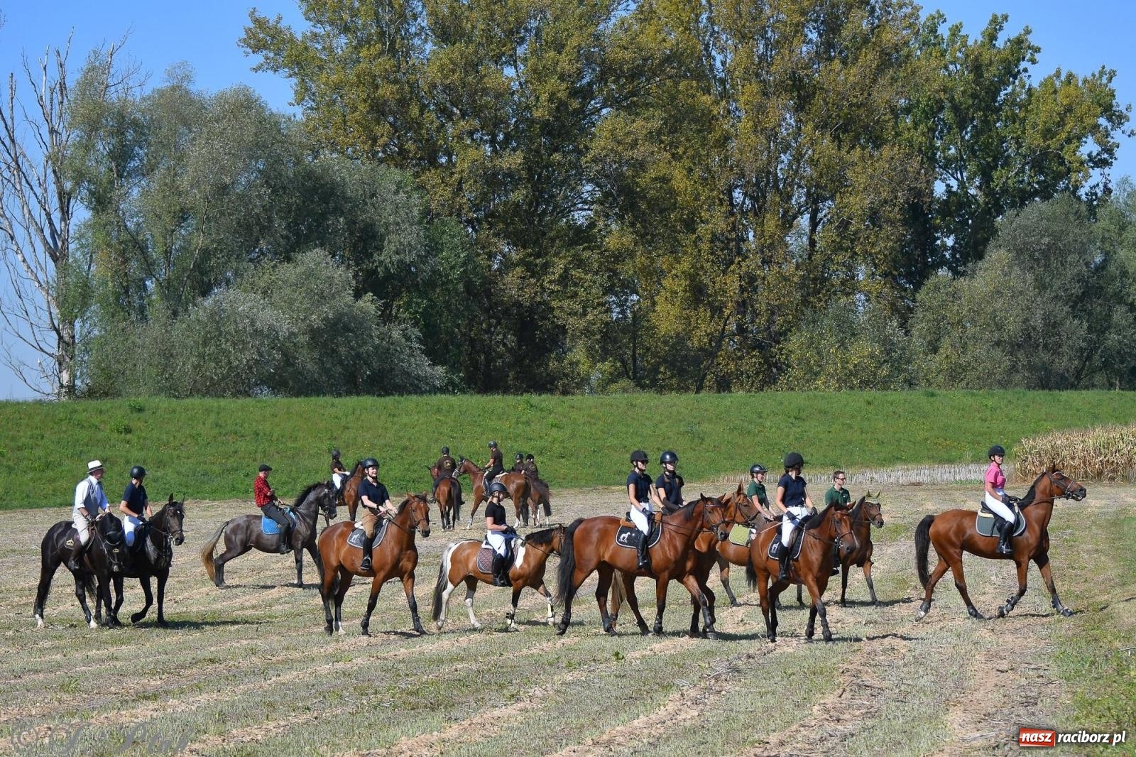 Zdjęcie w galerii na portalu naszraciborz.pl: Raciborski Hubertus. Parada konna przez miasto [FOTO i WIDEO] wiadomości z regionu