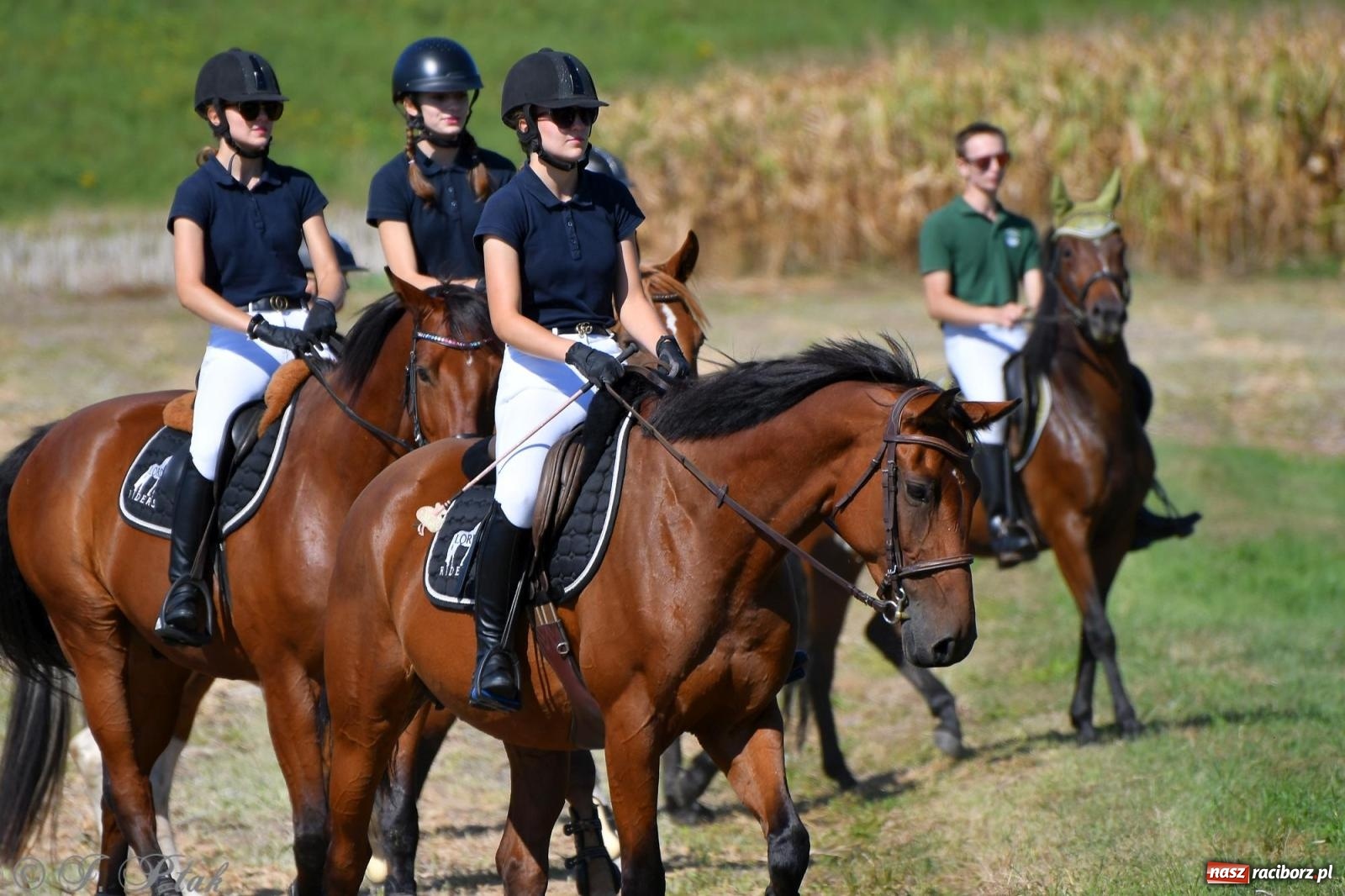 Zdjęcie w galerii na portalu naszraciborz.pl: Raciborski Hubertus. Parada konna przez miasto [FOTO i WIDEO] wiadomości z regionu
