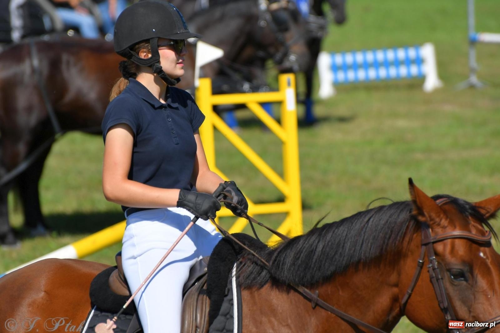 Zdjęcie w galerii na portalu naszraciborz.pl: Raciborski Hubertus. Parada konna przez miasto [FOTO i WIDEO] wiadomości z regionu