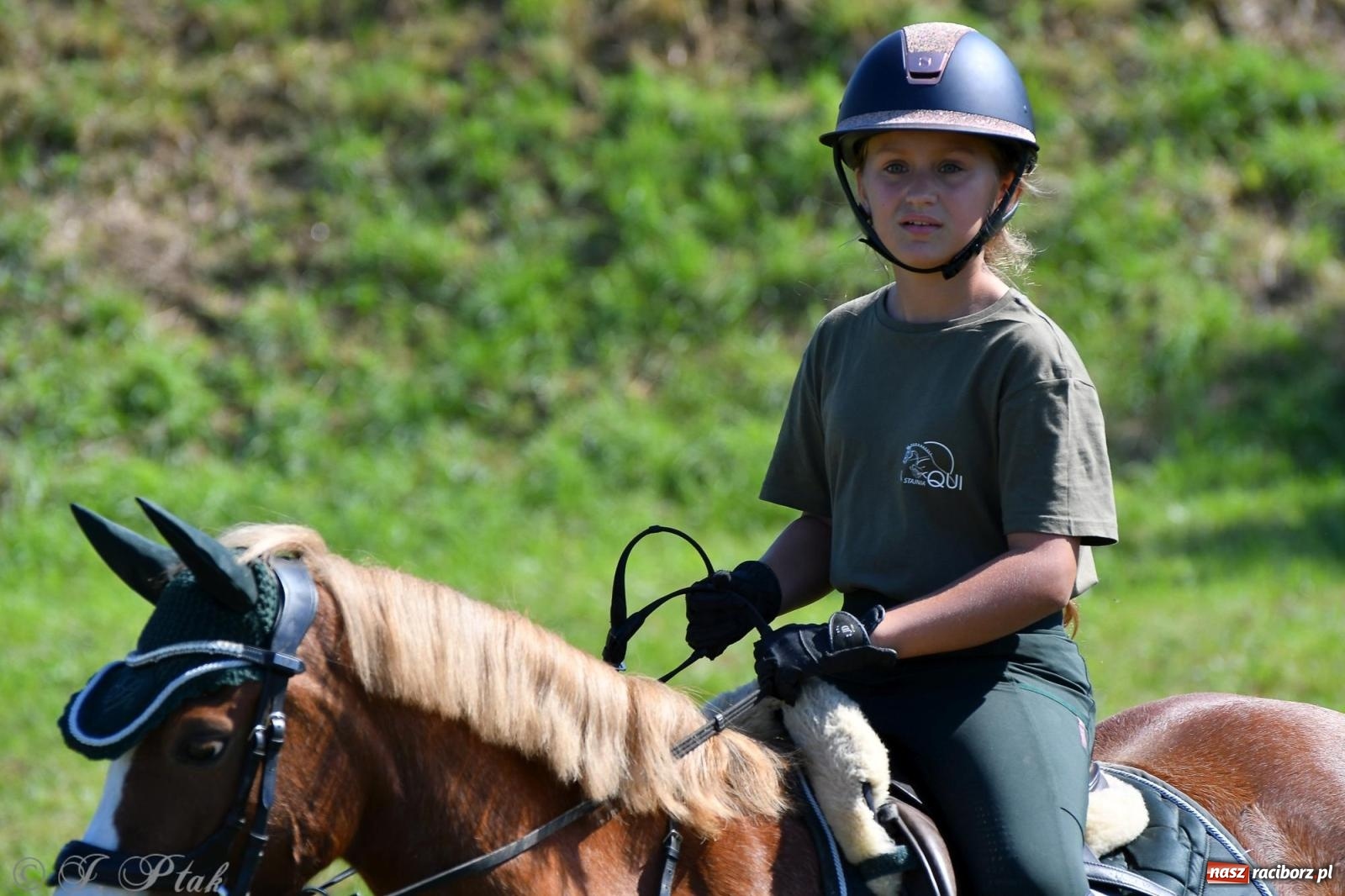 Zdjęcie w galerii na portalu naszraciborz.pl: Raciborski Hubertus. Parada konna przez miasto [FOTO i WIDEO] wiadomości z regionu