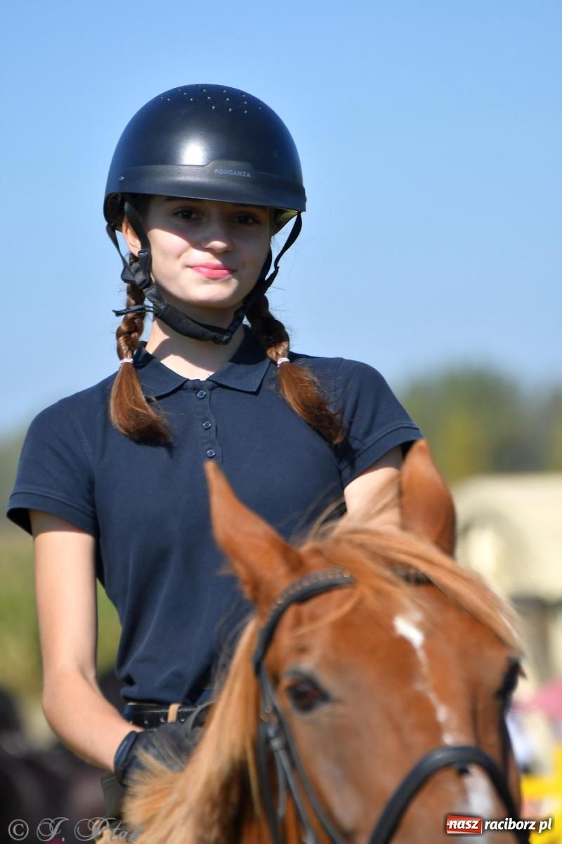 Zdjęcie w galerii na portalu naszraciborz.pl: Raciborski Hubertus. Parada konna przez miasto [FOTO i WIDEO] wiadomości z regionu