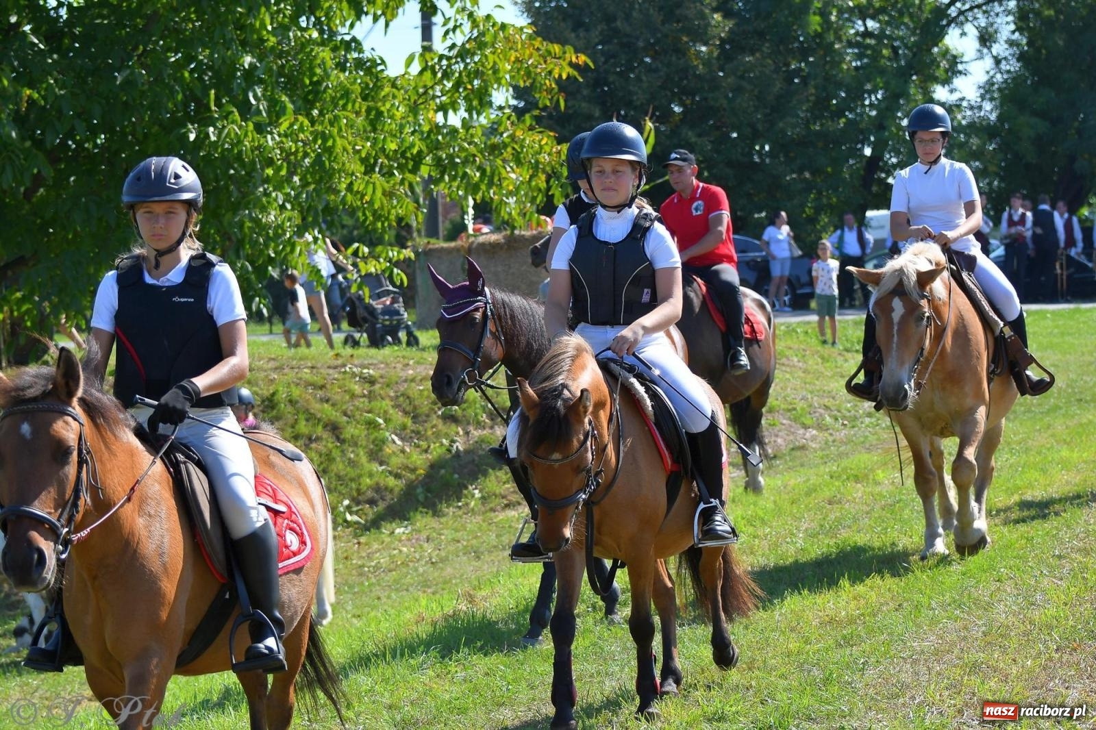Zdjęcie w galerii na portalu naszraciborz.pl: Raciborski Hubertus. Parada konna przez miasto [FOTO i WIDEO] wiadomości z regionu