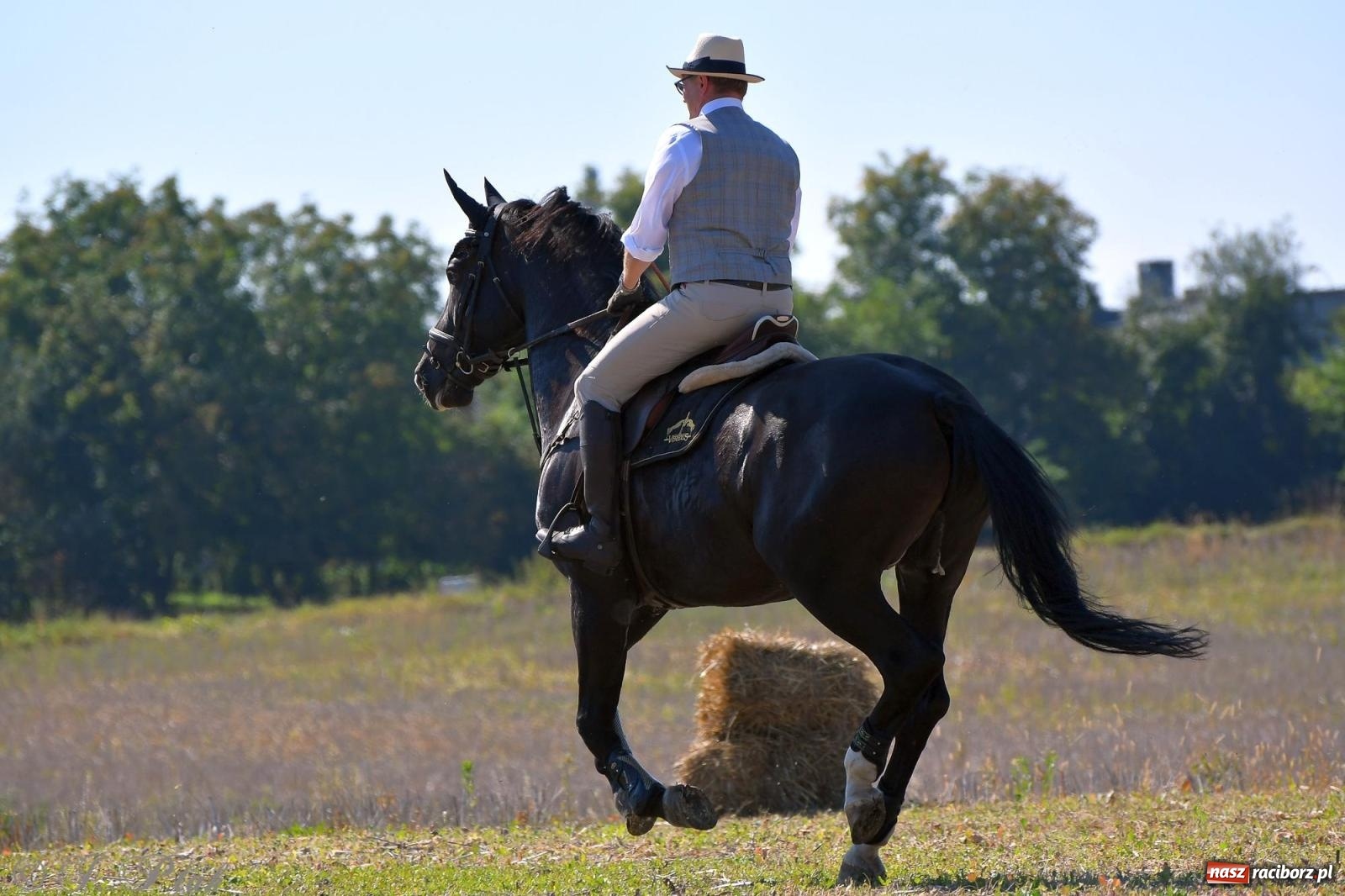 Zdjęcie w galerii na portalu naszraciborz.pl: Raciborski Hubertus. Parada konna przez miasto [FOTO i WIDEO] wiadomości z regionu