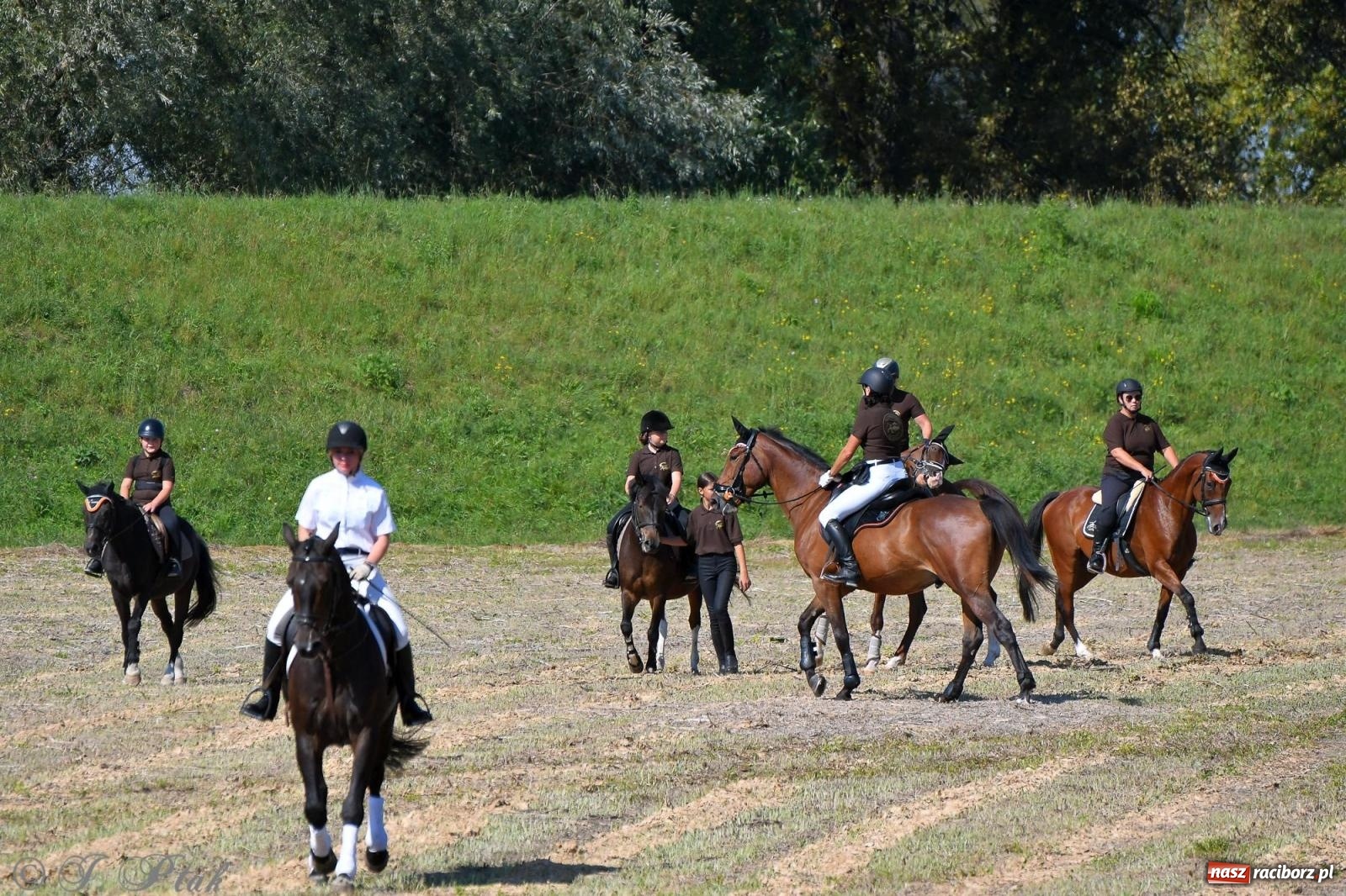 Zdjęcie w galerii na portalu naszraciborz.pl: Raciborski Hubertus. Parada konna przez miasto [FOTO i WIDEO] wiadomości z regionu