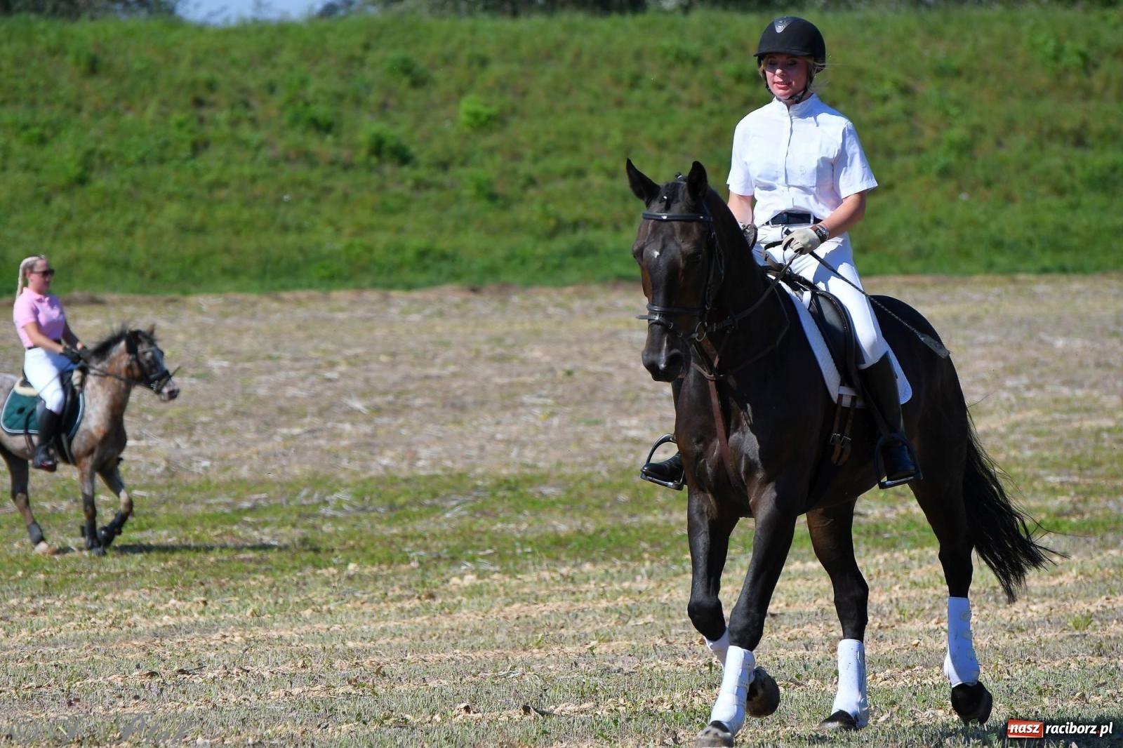 Zdjęcie w galerii na portalu naszraciborz.pl: Raciborski Hubertus. Parada konna przez miasto [FOTO i WIDEO] wiadomości z regionu