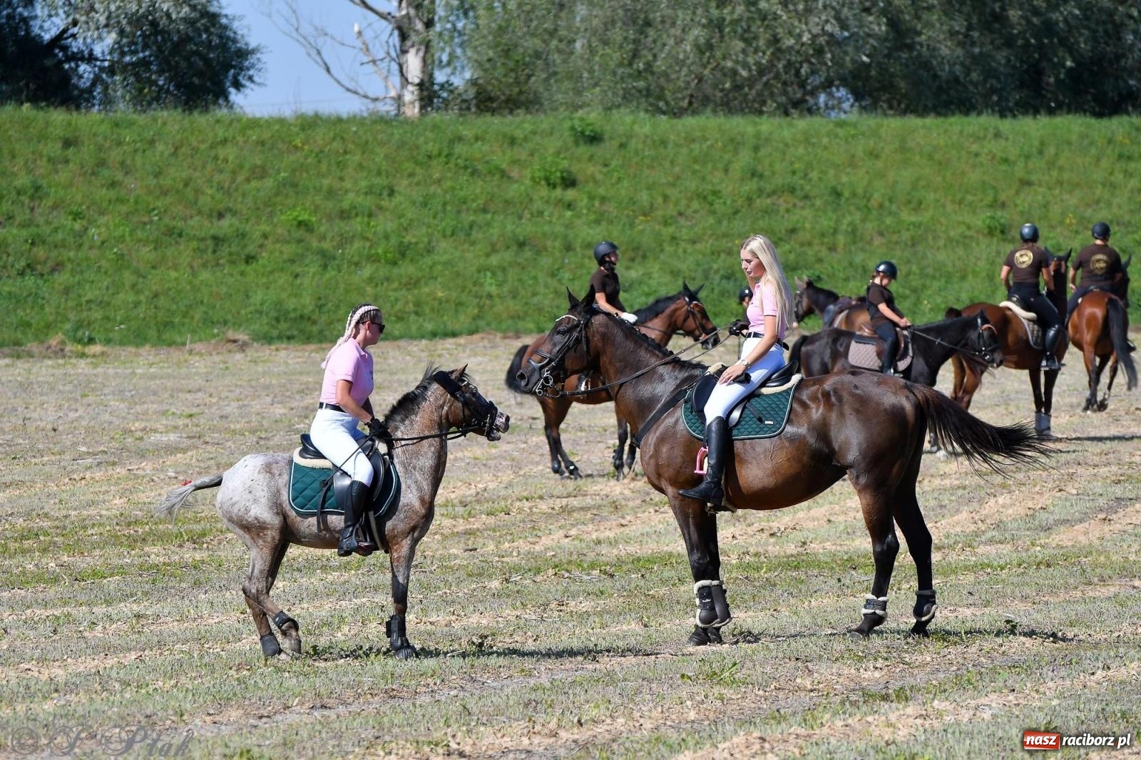 Zdjęcie w galerii na portalu naszraciborz.pl: Raciborski Hubertus. Parada konna przez miasto [FOTO i WIDEO] wiadomości z regionu