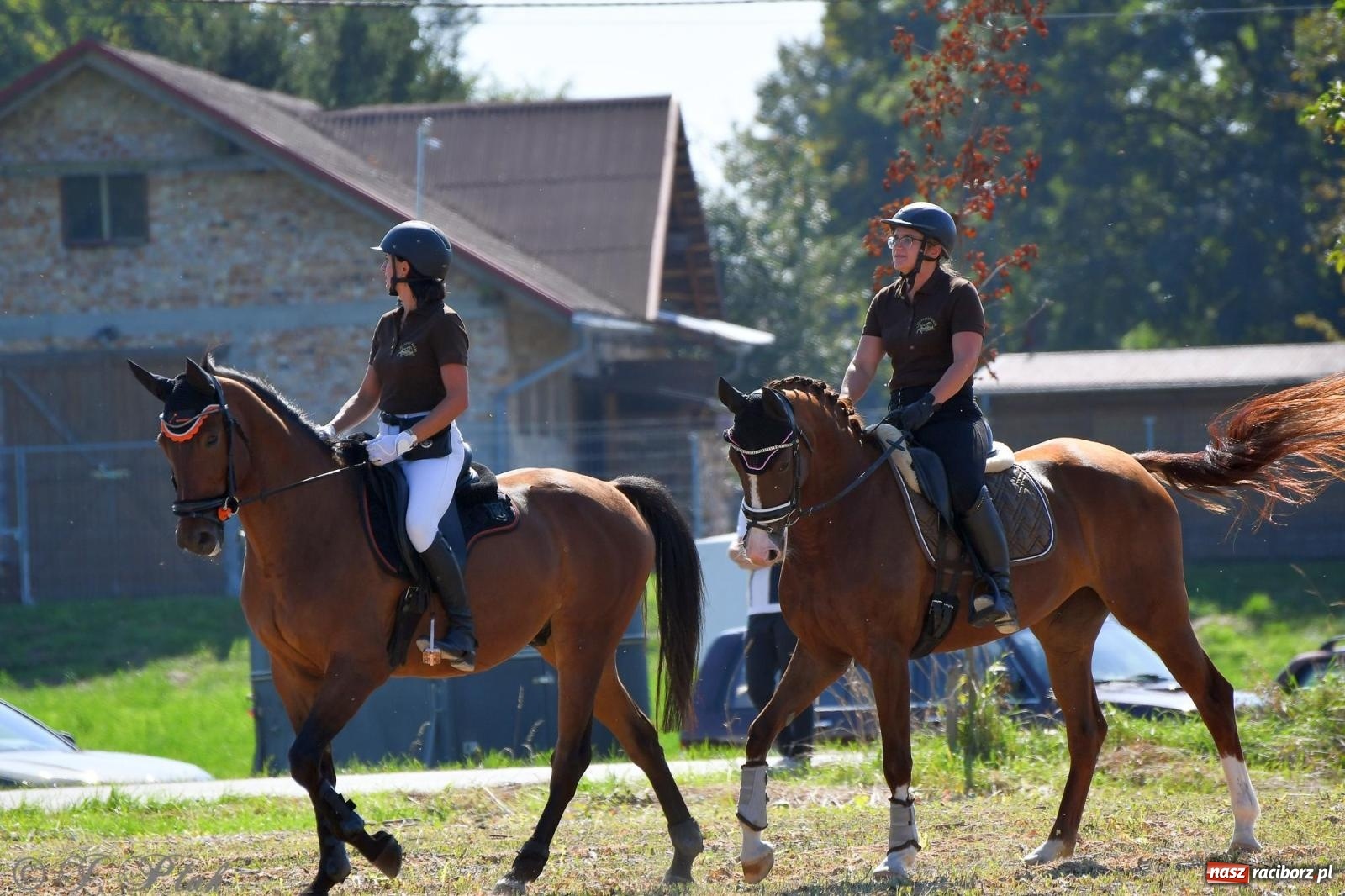 Zdjęcie w galerii na portalu naszraciborz.pl: Raciborski Hubertus. Parada konna przez miasto [FOTO i WIDEO] wiadomości z regionu