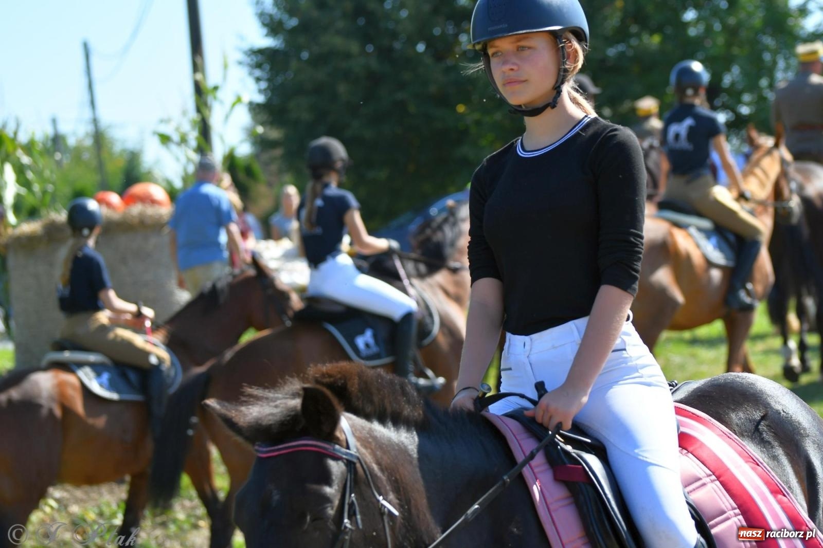 Zdjęcie w galerii na portalu naszraciborz.pl: Raciborski Hubertus. Parada konna przez miasto [FOTO i WIDEO] wiadomości z regionu