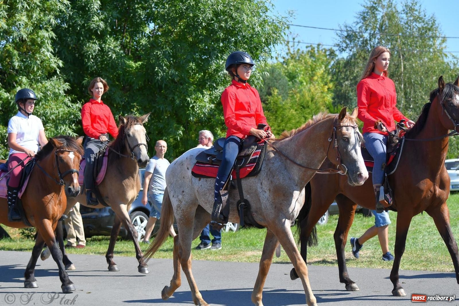 Zdjęcie w galerii na portalu naszraciborz.pl: Raciborski Hubertus. Parada konna przez miasto [FOTO i WIDEO] wiadomości z regionu