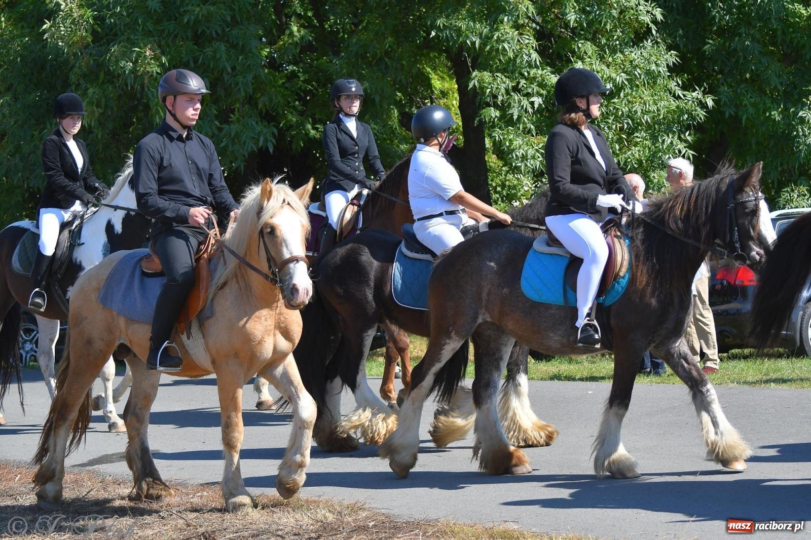 Zdjęcie w galerii na portalu naszraciborz.pl: Raciborski Hubertus. Parada konna przez miasto [FOTO i WIDEO] wiadomości z regionu