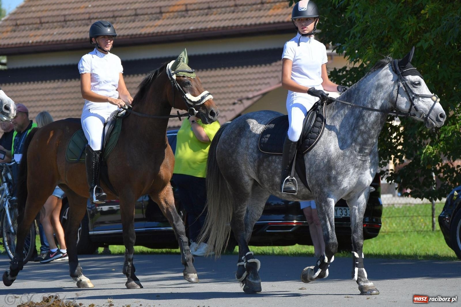 Zdjęcie w galerii na portalu naszraciborz.pl: Raciborski Hubertus. Parada konna przez miasto [FOTO i WIDEO] wiadomości z regionu