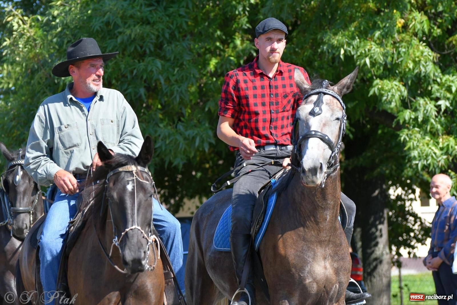 Zdjęcie w galerii na portalu naszraciborz.pl: Raciborski Hubertus. Parada konna przez miasto [FOTO i WIDEO] wiadomości z regionu