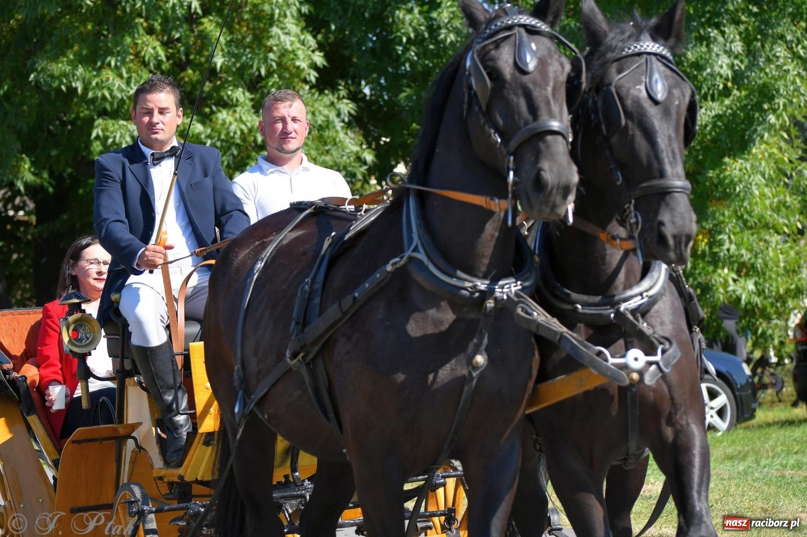 Zdjęcie w galerii na portalu naszraciborz.pl: Raciborski Hubertus. Parada konna przez miasto [FOTO i WIDEO] wiadomości z regionu