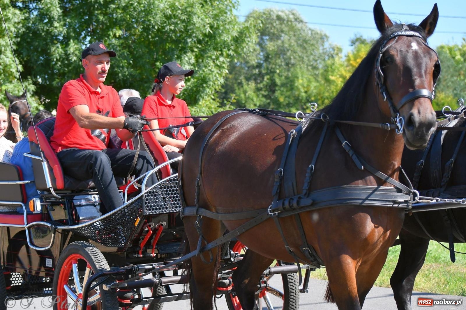 Zdjęcie w galerii na portalu naszraciborz.pl: Raciborski Hubertus. Parada konna przez miasto [FOTO i WIDEO] wiadomości z regionu