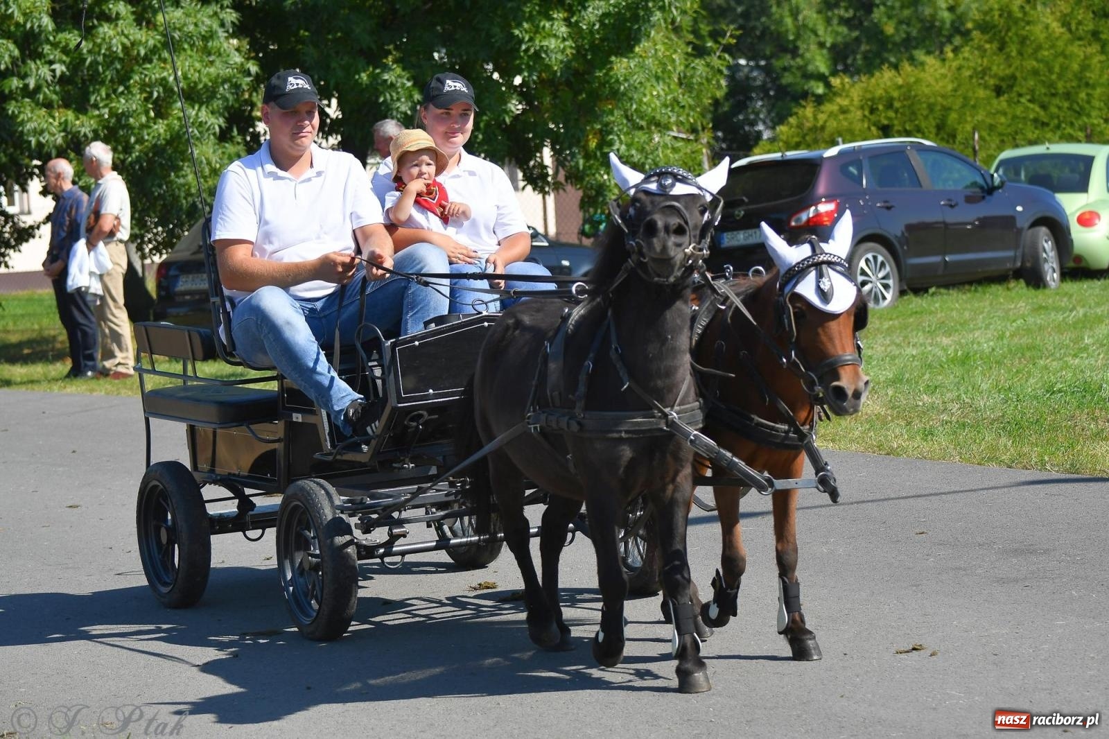 Zdjęcie w galerii na portalu naszraciborz.pl: Raciborski Hubertus. Parada konna przez miasto [FOTO i WIDEO] wiadomości z regionu