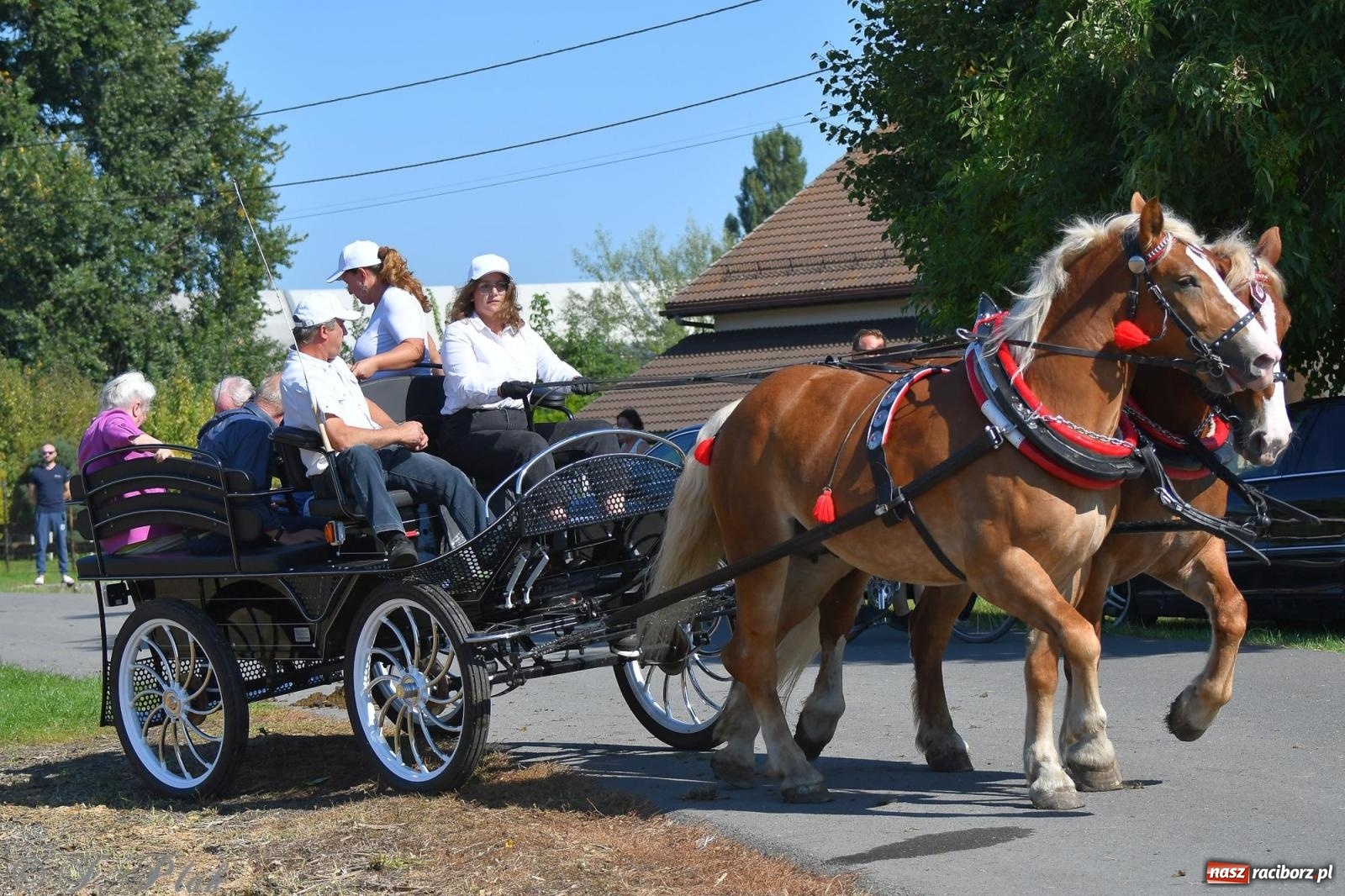 Zdjęcie w galerii na portalu naszraciborz.pl: Raciborski Hubertus. Parada konna przez miasto [FOTO i WIDEO] wiadomości z regionu