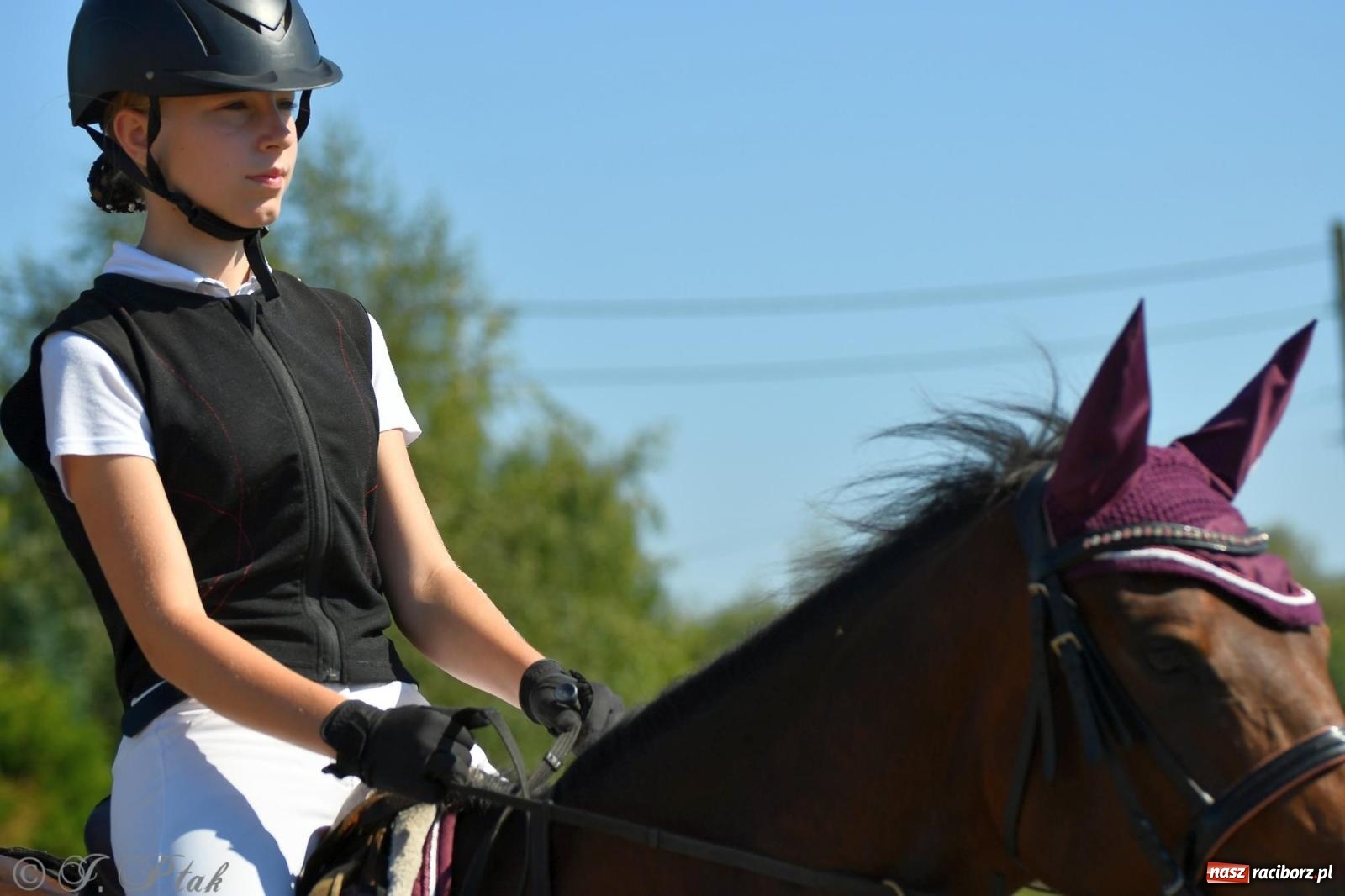 Zdjęcie w galerii na portalu naszraciborz.pl: Raciborski Hubertus. Parada konna przez miasto [FOTO i WIDEO] wiadomości z regionu