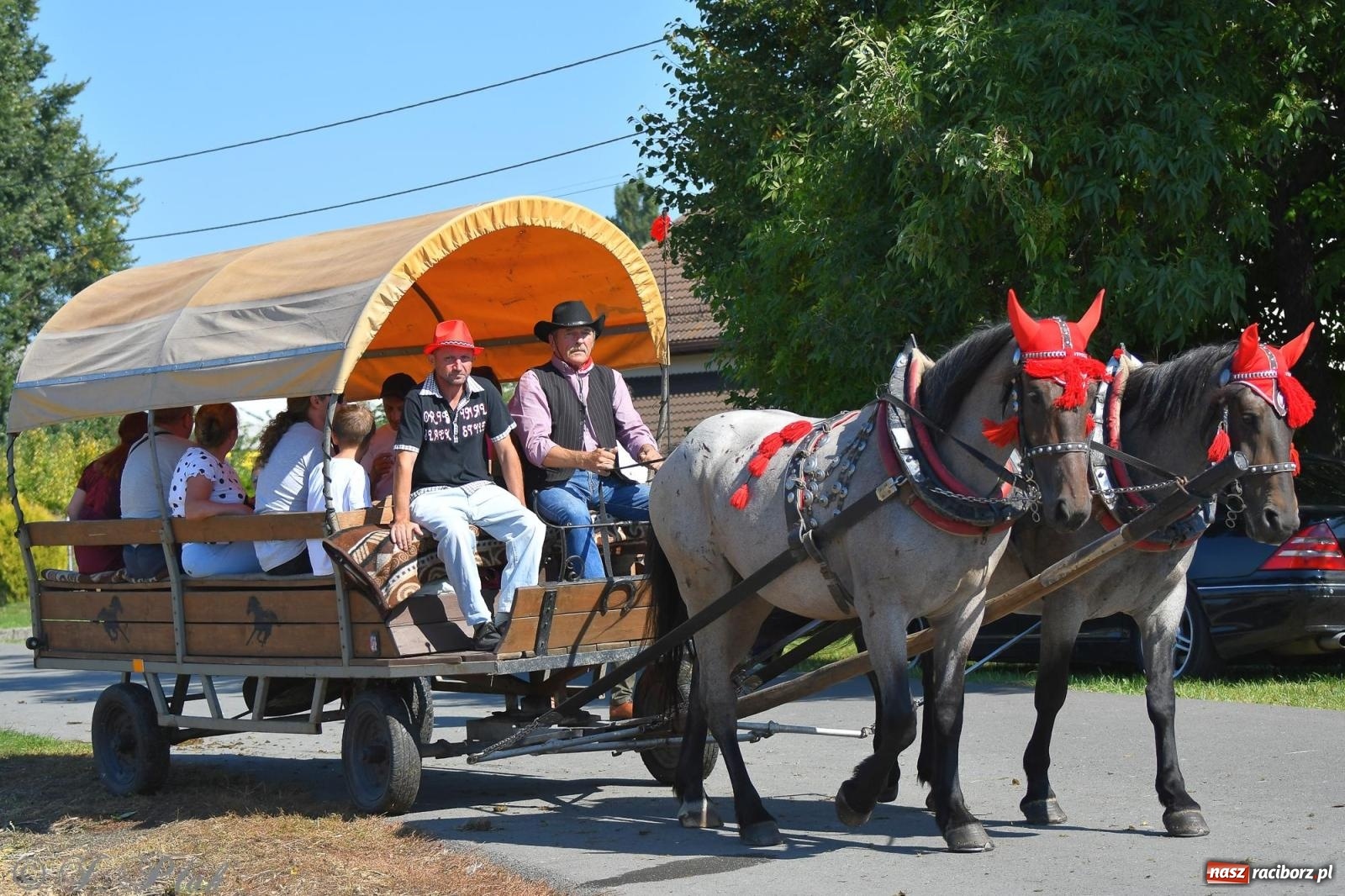 Zdjęcie w galerii na portalu naszraciborz.pl: Raciborski Hubertus. Parada konna przez miasto [FOTO i WIDEO] wiadomości z regionu