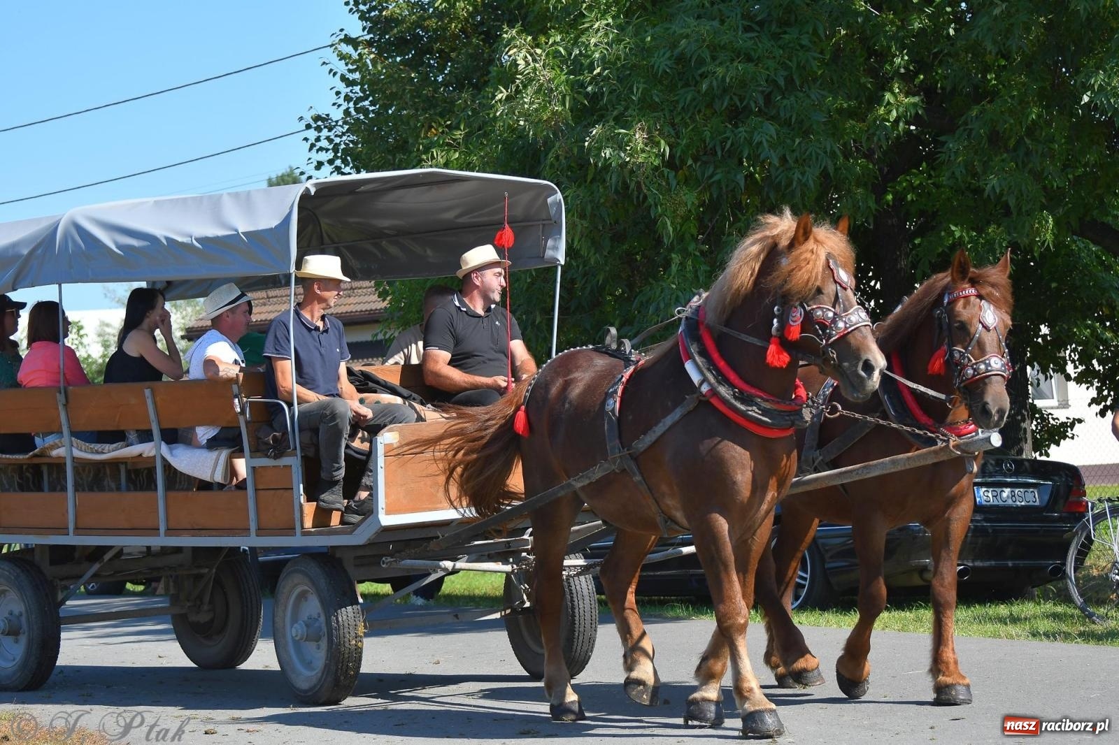 Zdjęcie w galerii na portalu naszraciborz.pl: Raciborski Hubertus. Parada konna przez miasto [FOTO i WIDEO] wiadomości z regionu