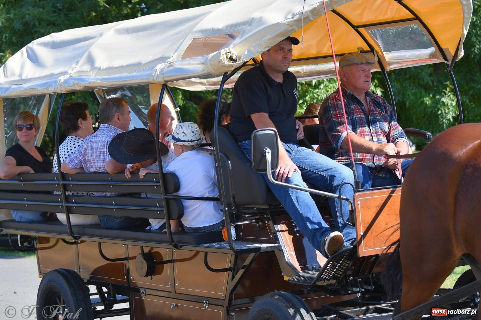 Zdjęcie w galerii na portalu naszraciborz.pl: Raciborski Hubertus. Parada konna przez miasto [FOTO i WIDEO] wiadomości z regionu