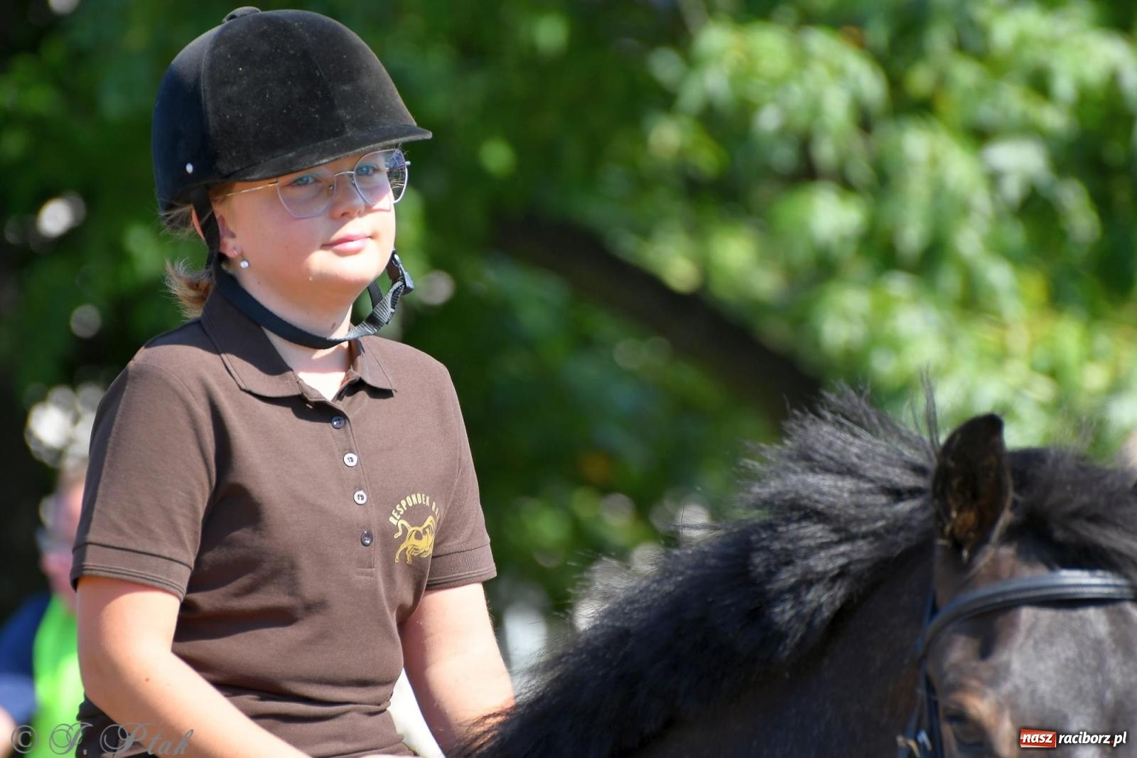 Zdjęcie w galerii na portalu naszraciborz.pl: Raciborski Hubertus. Parada konna przez miasto [FOTO i WIDEO] wiadomości z regionu