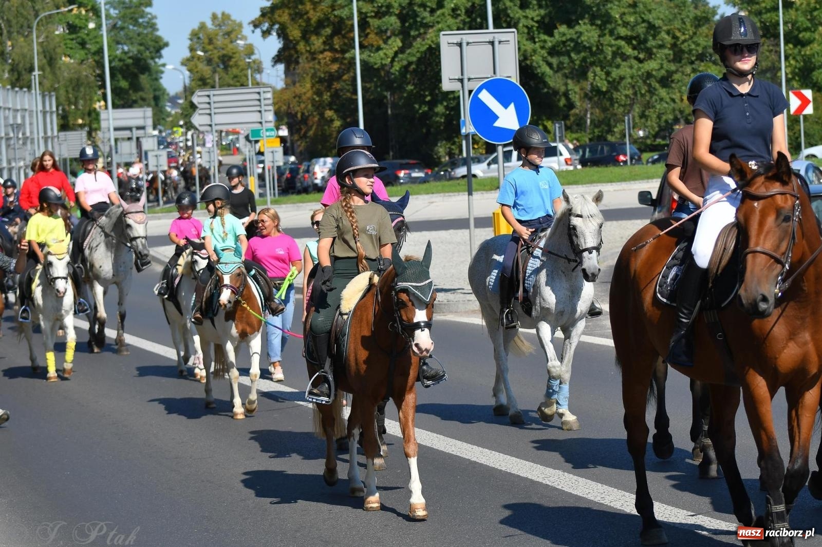 Zdjęcie w galerii na portalu naszraciborz.pl: Raciborski Hubertus. Parada konna przez miasto [FOTO i WIDEO] wiadomości z regionu