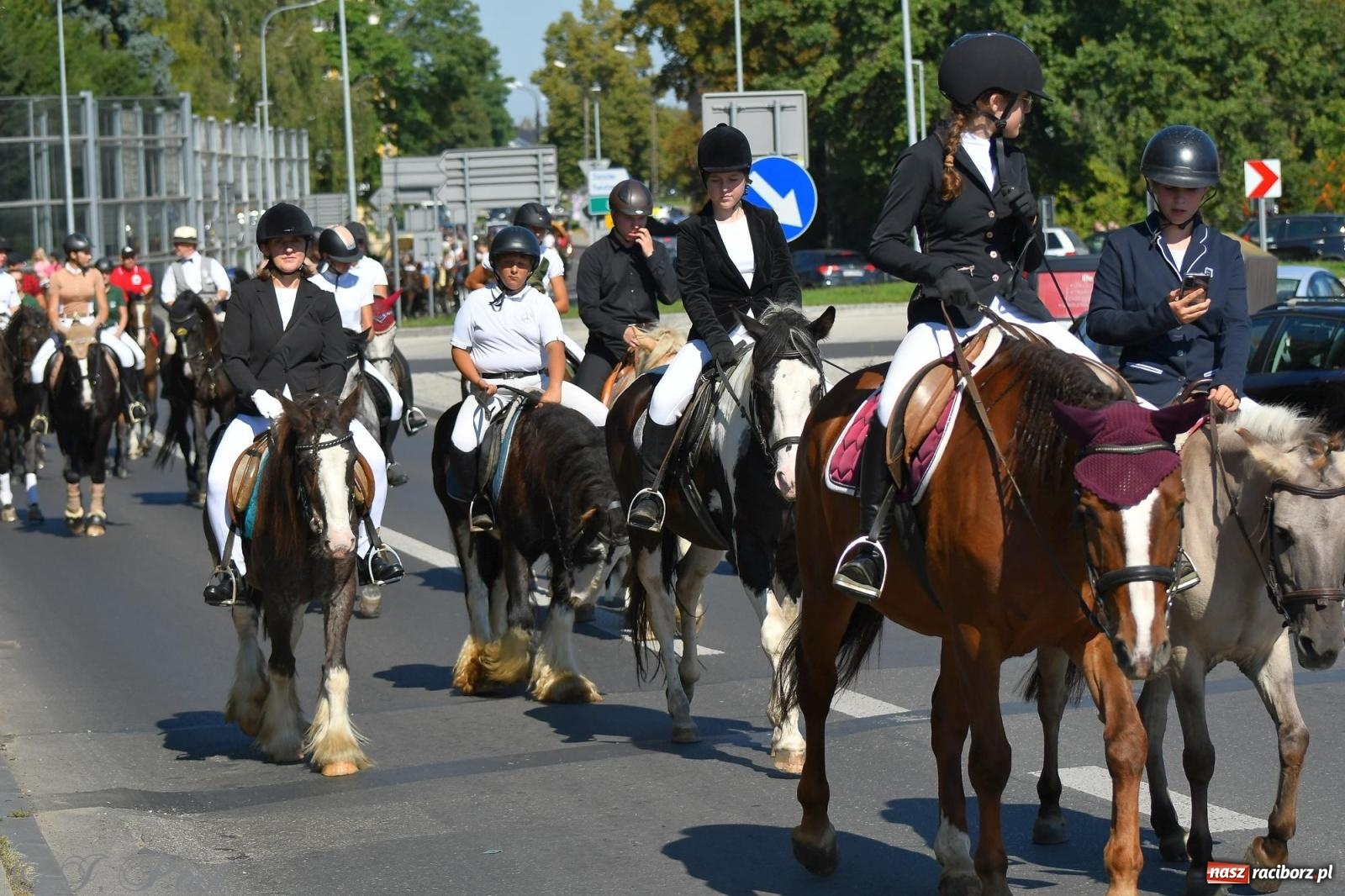 Zdjęcie w galerii na portalu naszraciborz.pl: Raciborski Hubertus. Parada konna przez miasto [FOTO i WIDEO] wiadomości z regionu