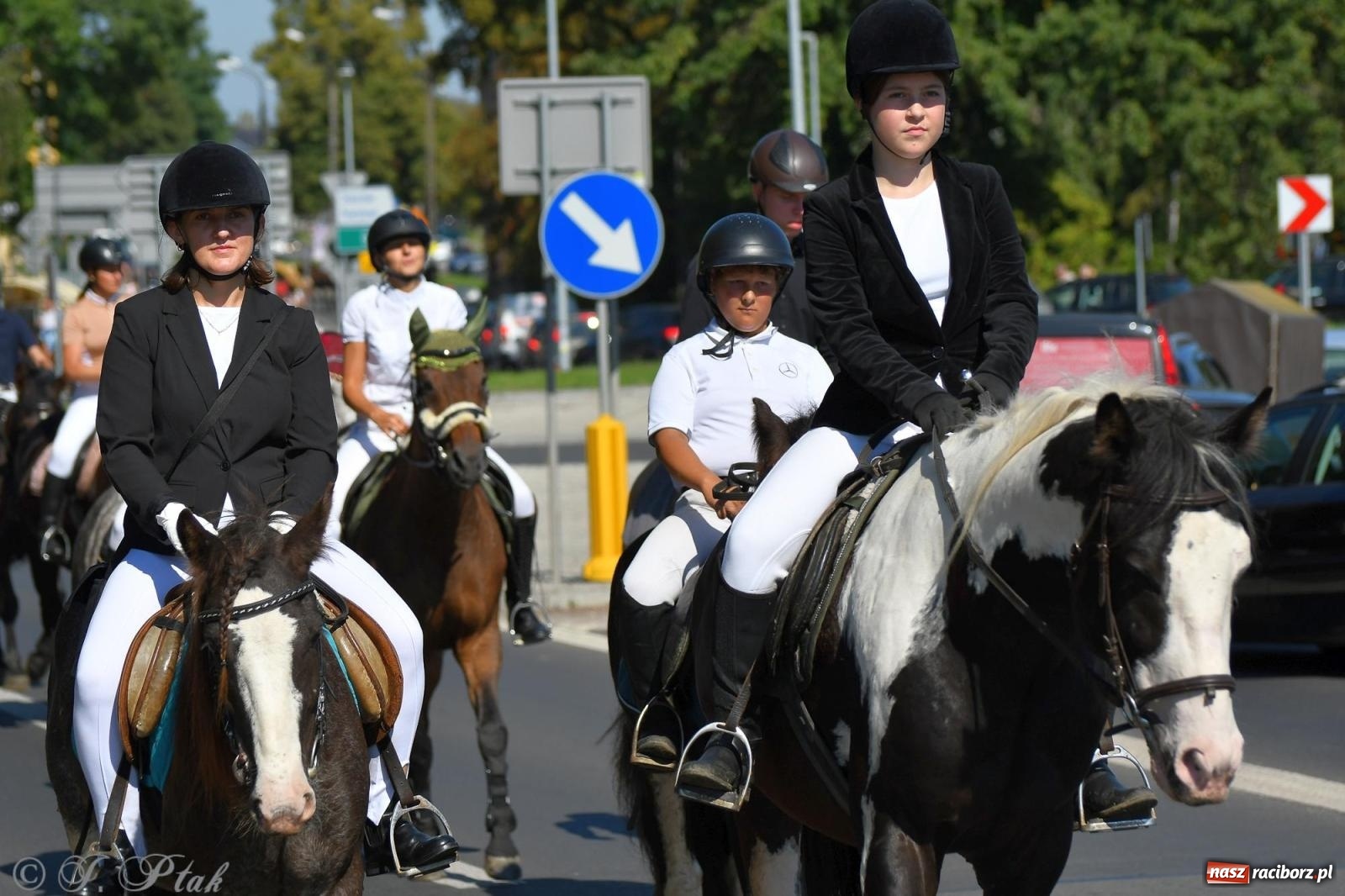 Zdjęcie w galerii na portalu naszraciborz.pl: Raciborski Hubertus. Parada konna przez miasto [FOTO i WIDEO] wiadomości z regionu