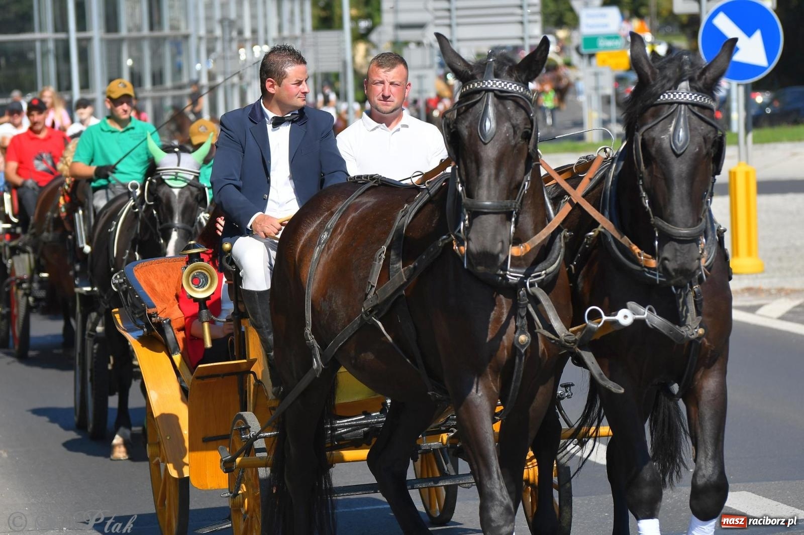 Zdjęcie w galerii na portalu naszraciborz.pl: Raciborski Hubertus. Parada konna przez miasto [FOTO i WIDEO] wiadomości z regionu