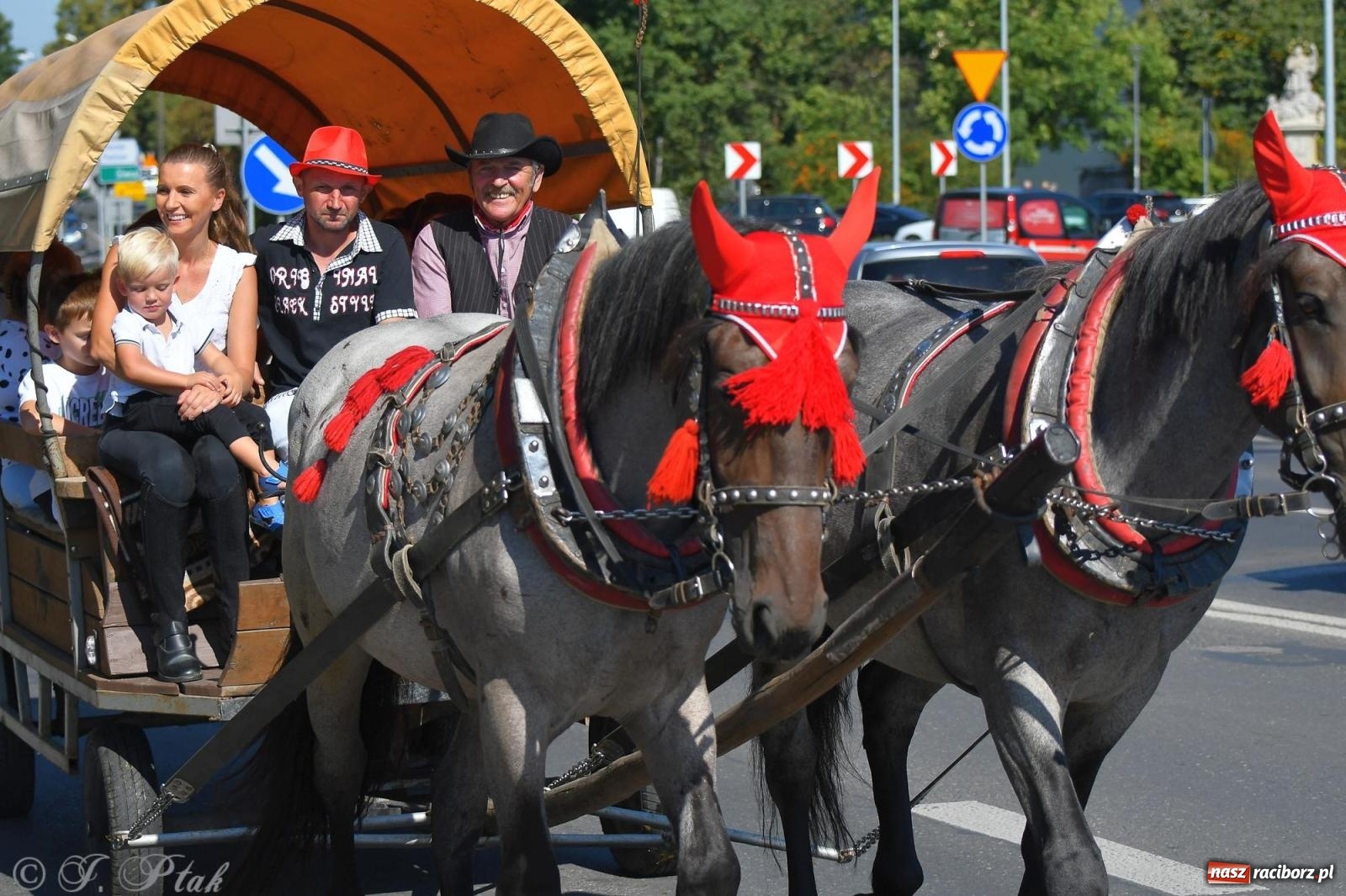 Zdjęcie w galerii na portalu naszraciborz.pl: Raciborski Hubertus. Parada konna przez miasto [FOTO i WIDEO] wiadomości z regionu