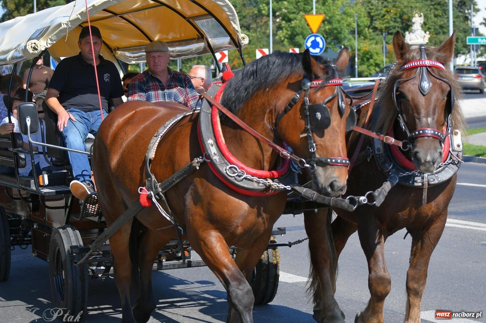 Zdjęcie w galerii na portalu naszraciborz.pl: Raciborski Hubertus. Parada konna przez miasto [FOTO i WIDEO] wiadomości z regionu