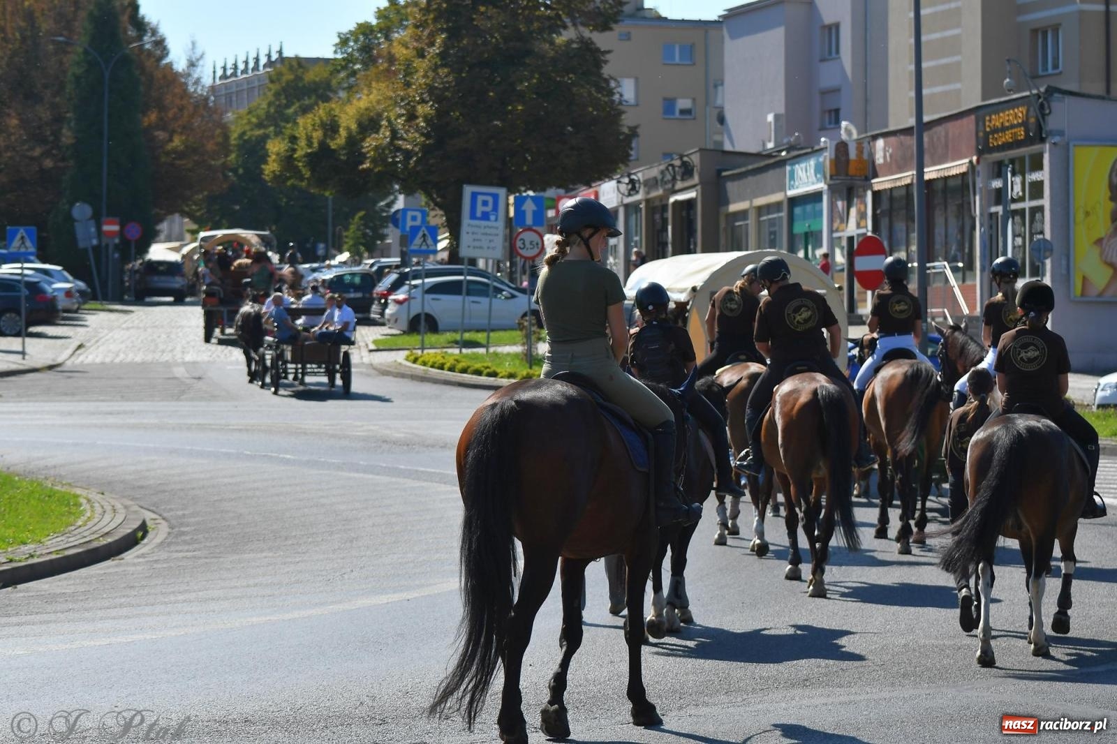 Zdjęcie w galerii na portalu naszraciborz.pl: Raciborski Hubertus. Parada konna przez miasto [FOTO i WIDEO] wiadomości z regionu