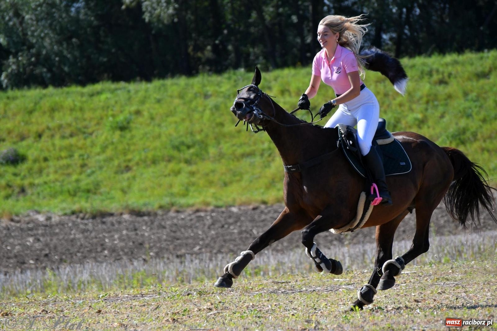 Zdjęcie w galerii na portalu naszraciborz.pl: Raciborski Hubertus - pogoń za lisem wiadomości z regionu