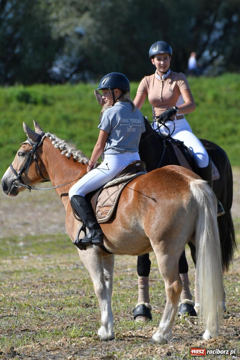 Zdjęcie w galerii na portalu naszraciborz.pl: Raciborski Hubertus - pogoń za lisem wiadomości z regionu