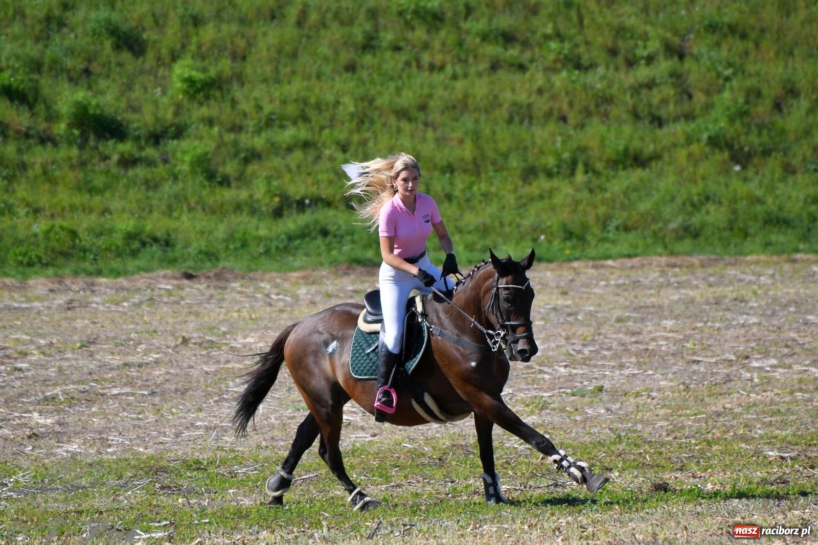 Zdjęcie w galerii na portalu naszraciborz.pl: Raciborski Hubertus - pogoń za lisem wiadomości z regionu