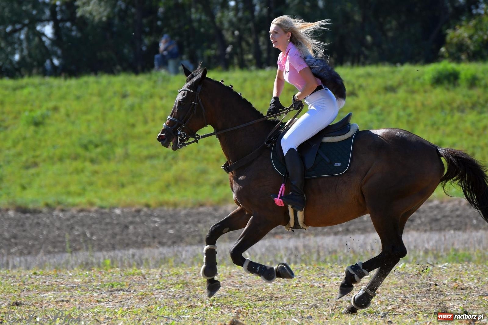 Zdjęcie w galerii na portalu naszraciborz.pl: Raciborski Hubertus - pogoń za lisem wiadomości z regionu