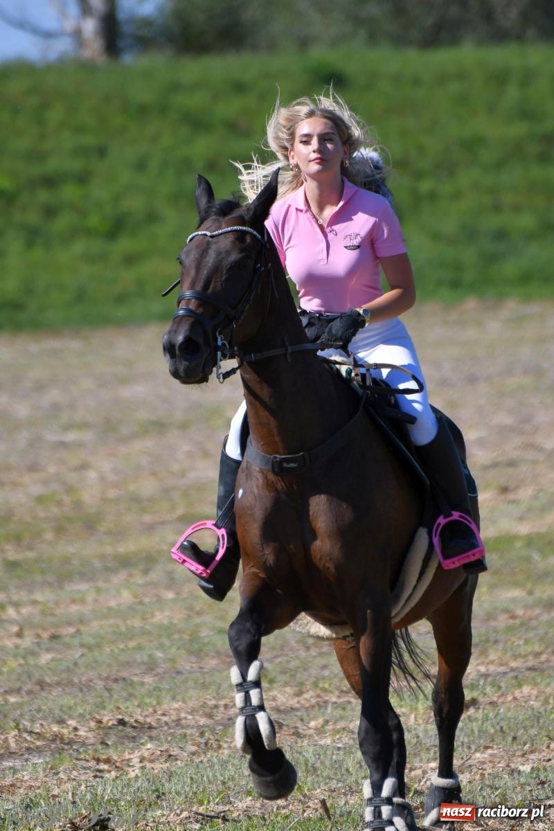 Zdjęcie w galerii na portalu naszraciborz.pl: Raciborski Hubertus - pogoń za lisem wiadomości z regionu