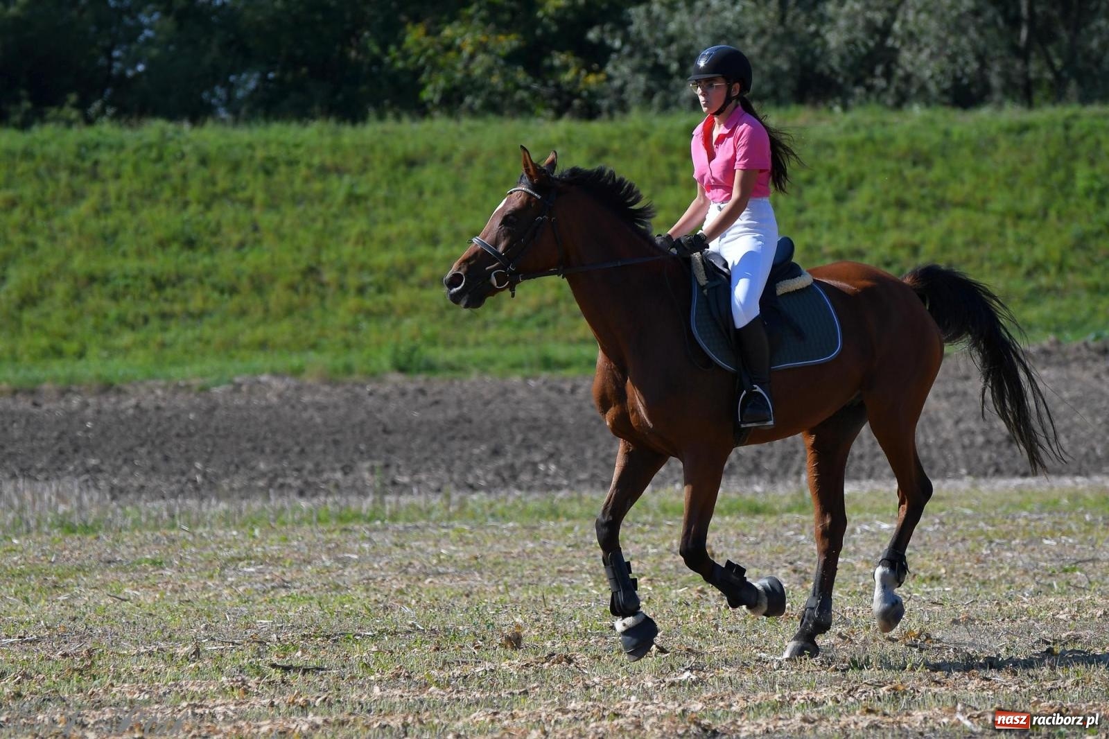 Zdjęcie w galerii na portalu naszraciborz.pl: Raciborski Hubertus - pogoń za lisem wiadomości z regionu