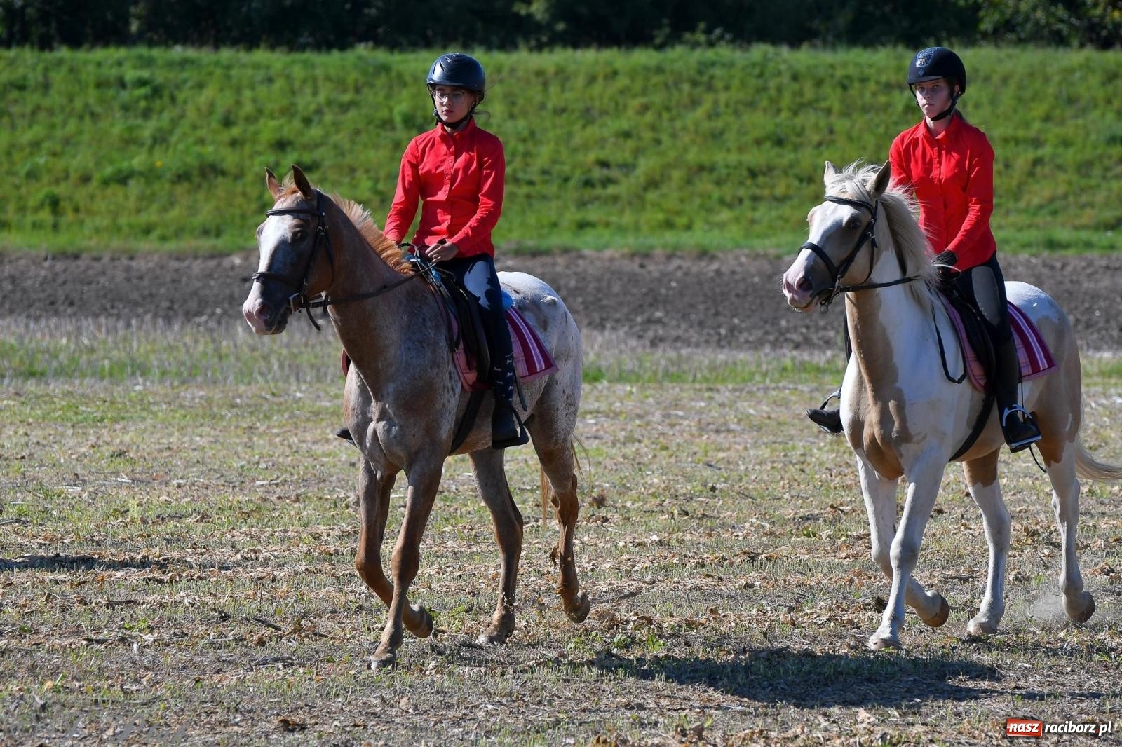 Zdjęcie w galerii na portalu naszraciborz.pl: Raciborski Hubertus - pogoń za lisem wiadomości z regionu