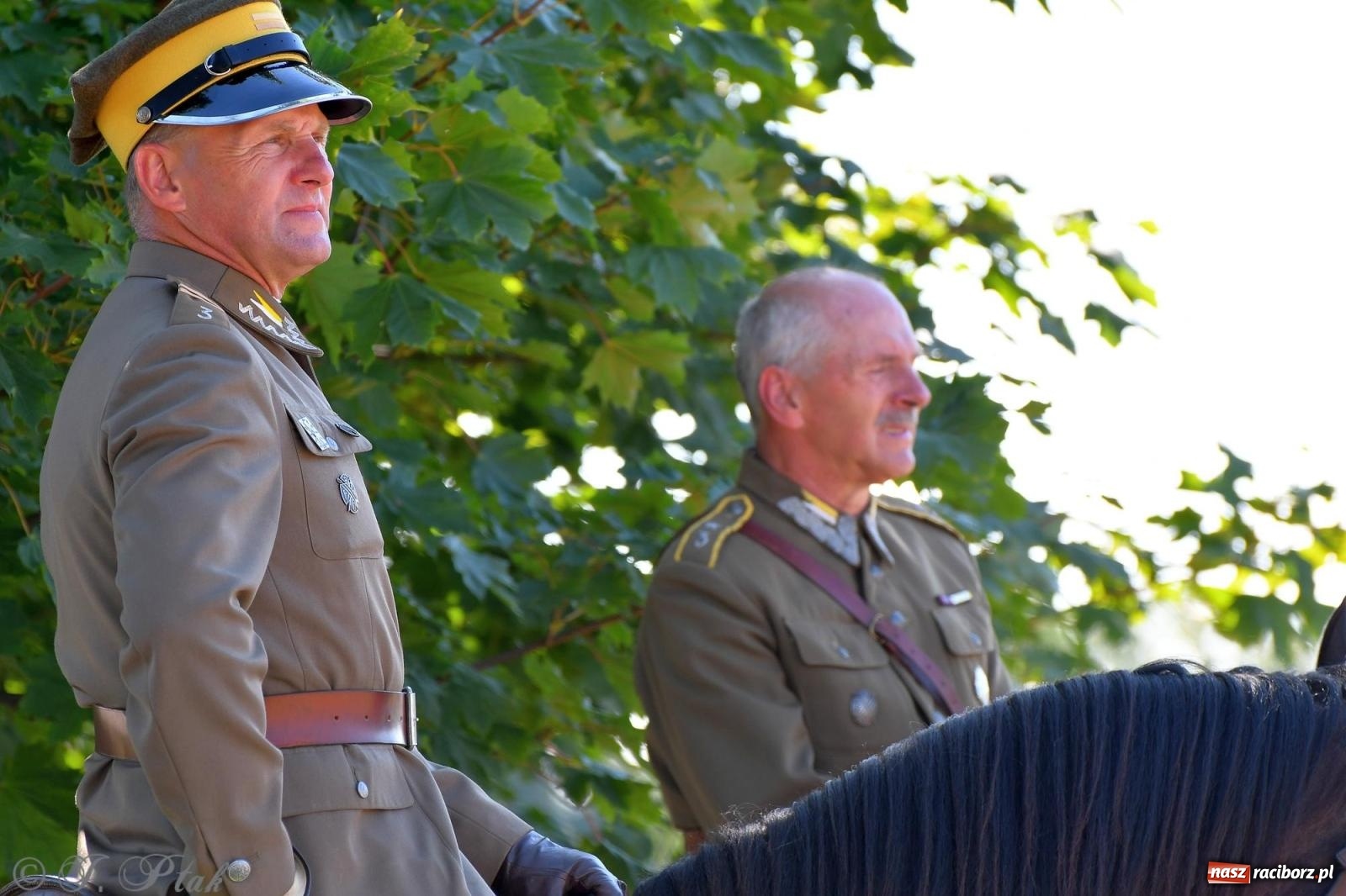 Zdjęcie w galerii na portalu naszraciborz.pl: Raciborski Hubertus - pogoń za lisem wiadomości z regionu