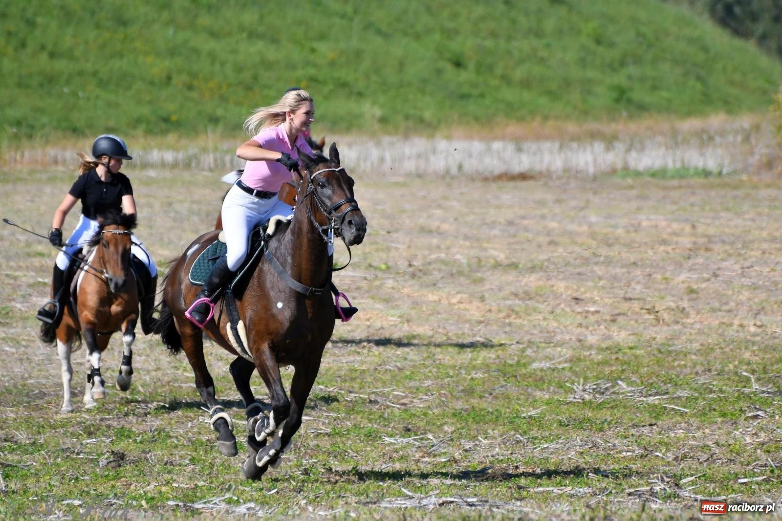 Zdjęcie w galerii na portalu naszraciborz.pl: Raciborski Hubertus - pogoń za lisem wiadomości z regionu