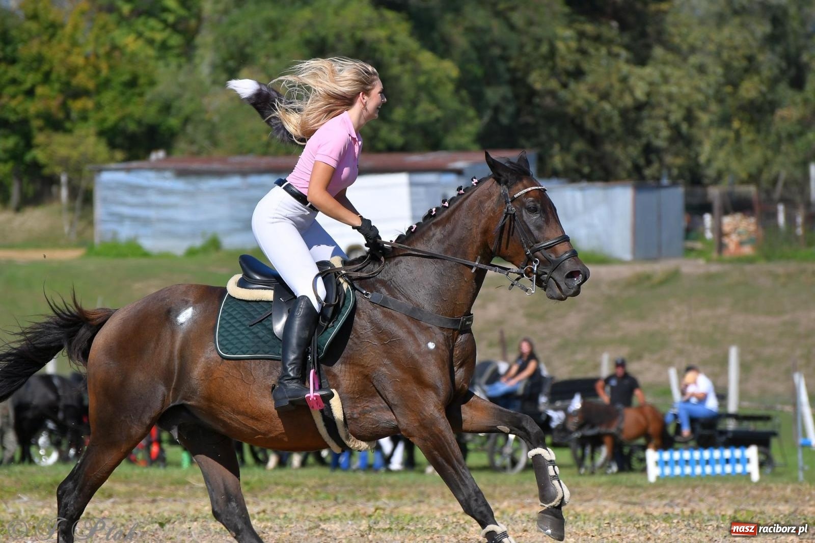 Zdjęcie w galerii na portalu naszraciborz.pl: Raciborski Hubertus - pogoń za lisem wiadomości z regionu